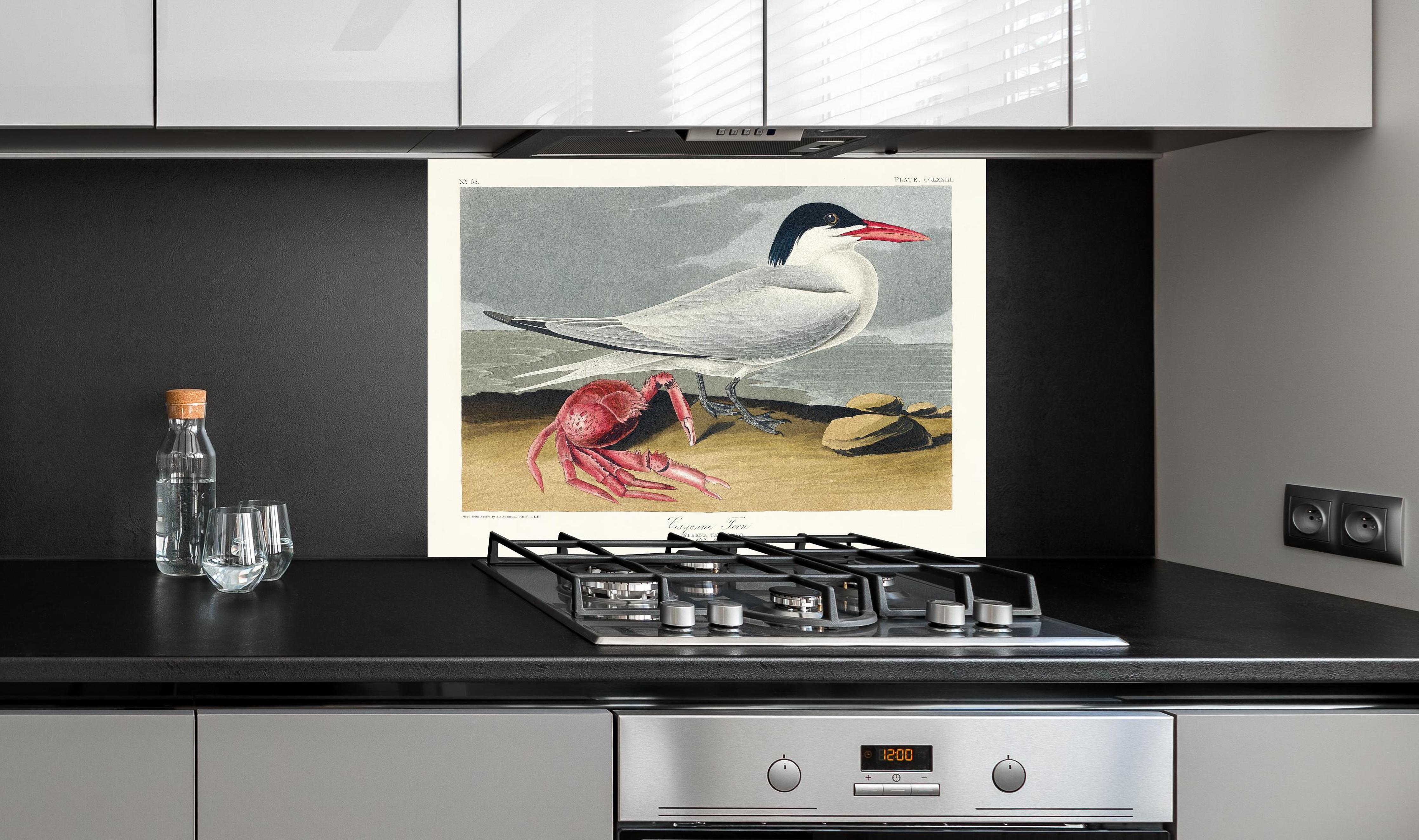 Spritzschutz - Vogel Portrait - Robert Havell hinter einem Cerankochfeld zwischen Holz-Kochutensilien
