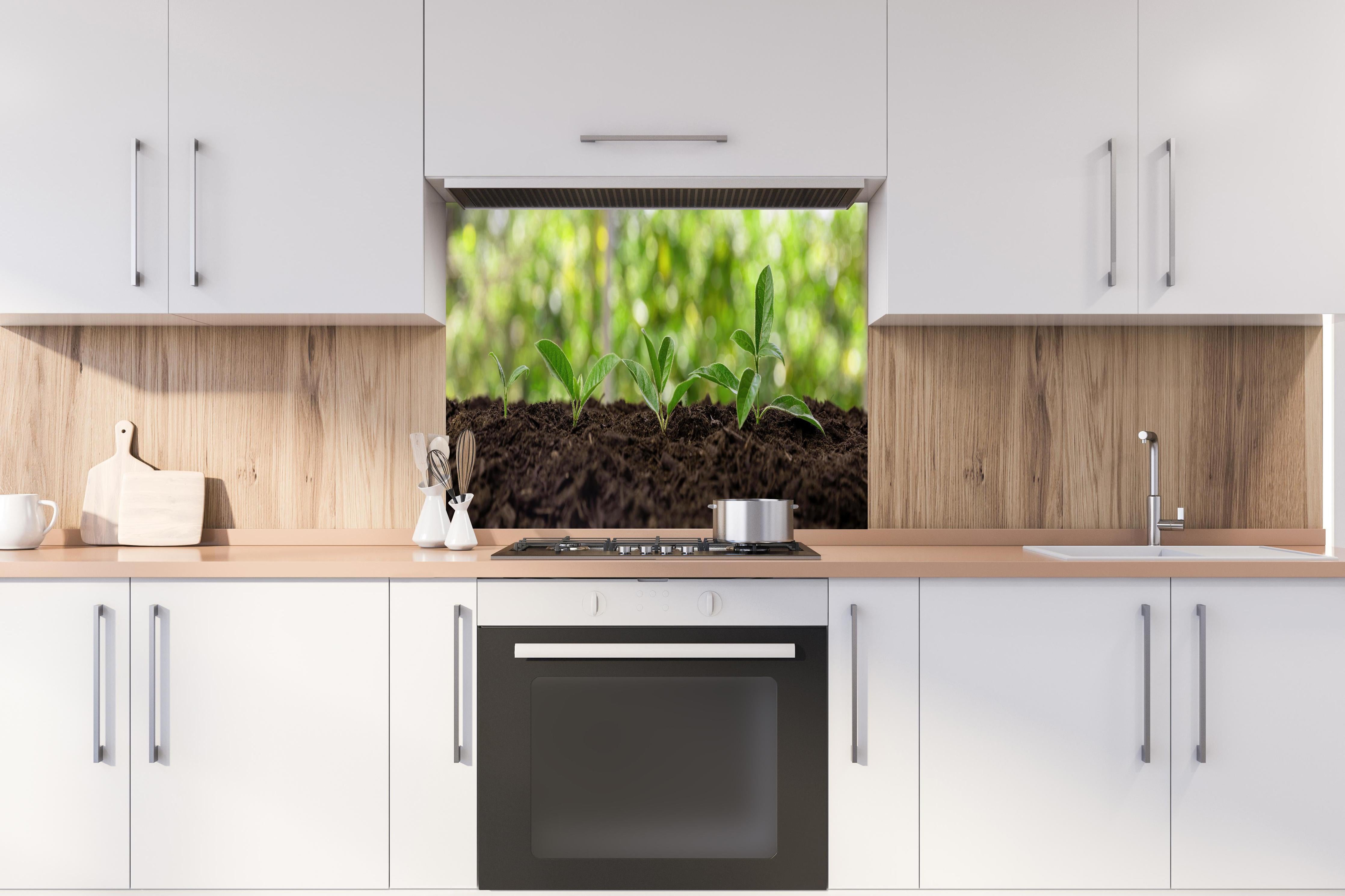 Spritzschutz - Wachsende Setzlinge in Gartenerde hinter einem Cerankochfeld zwischen Holz-Kochutensilien
