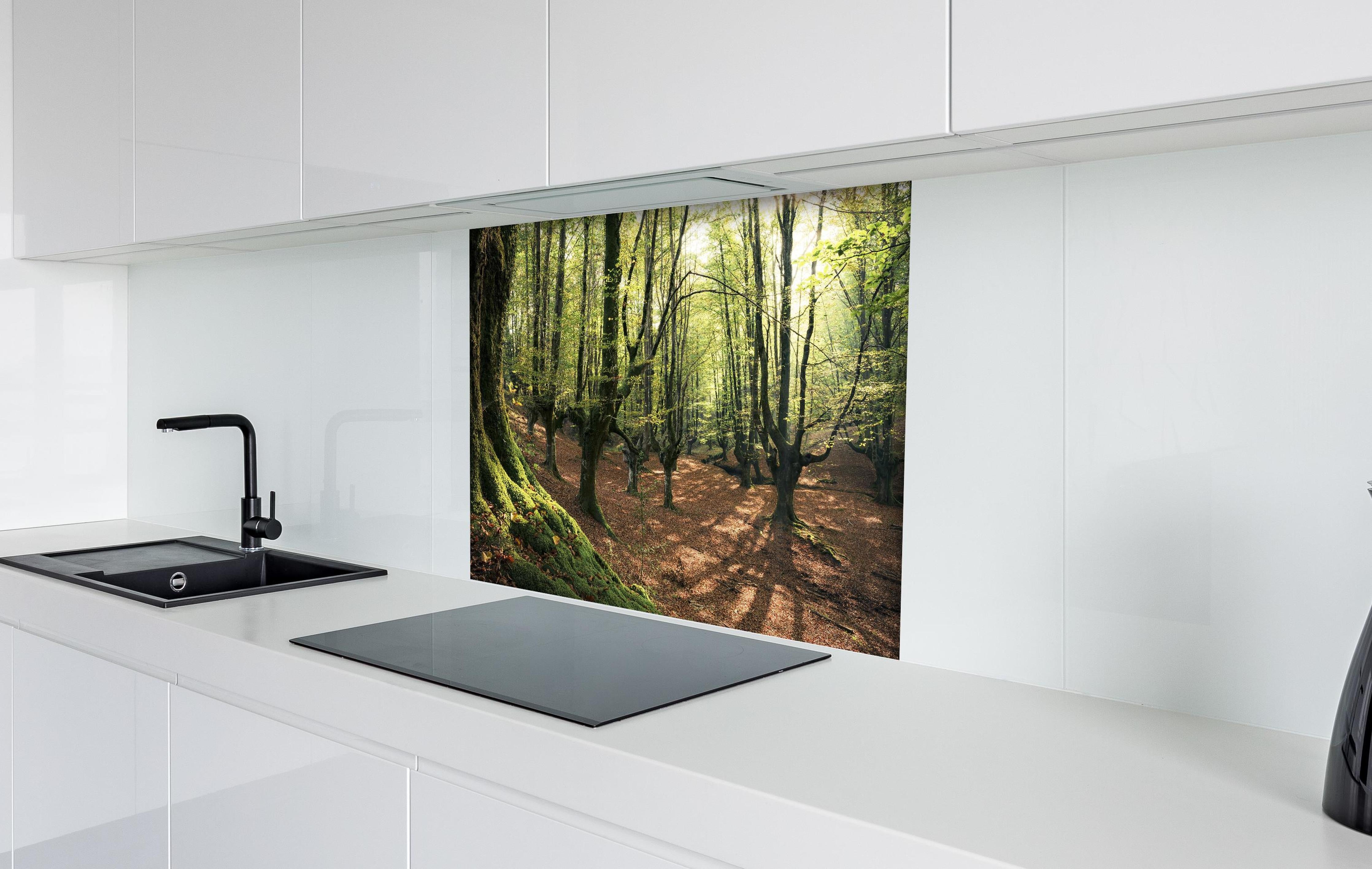 Spritzschutz - Wald in Spanien hinter einem Cerankochfeld zwischen Holz-Kochutensilien
