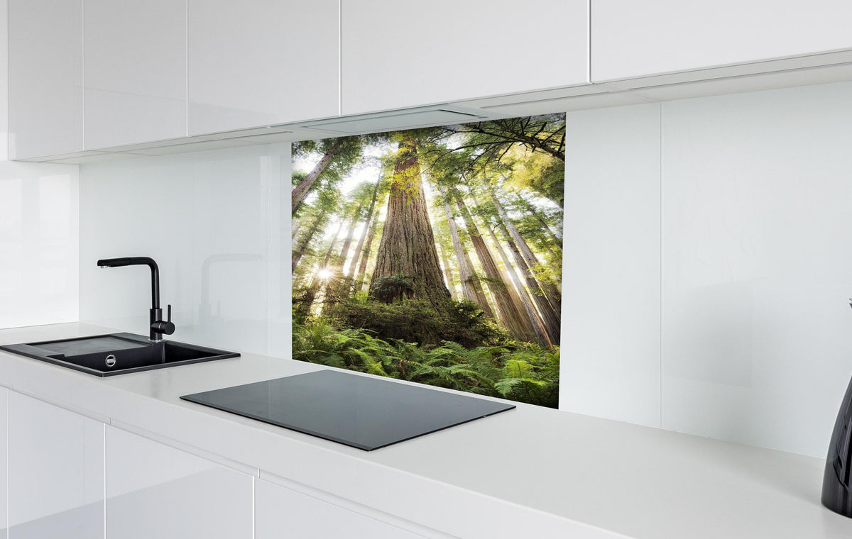 Spritzschutz - Waldlandschaft mit Sonnenlicht-Durchbruch hinter einem Cerankochfeld zwischen Holz-Kochutensilien
