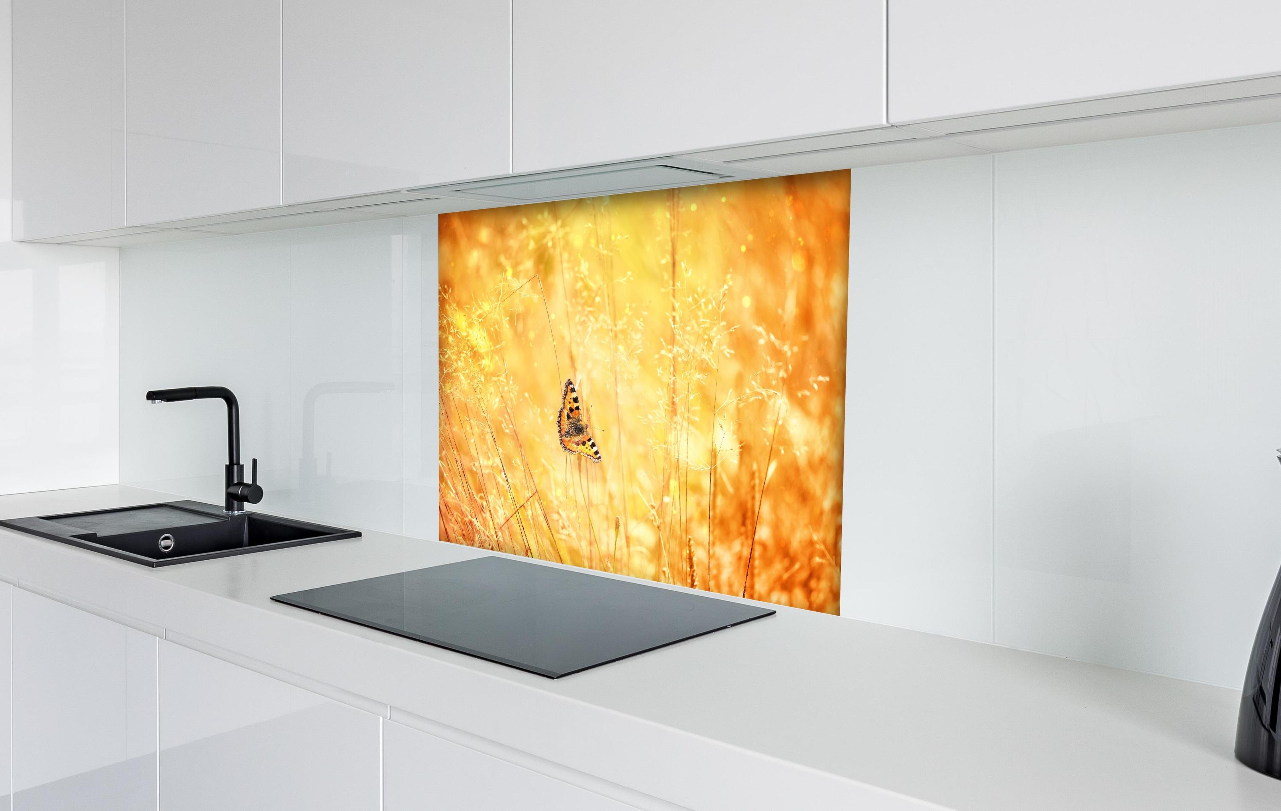 Spritzschutz - Warme Goldtöne im sommerlichen Feldmotiv hinter einem Cerankochfeld zwischen Holz-Kochutensilien
