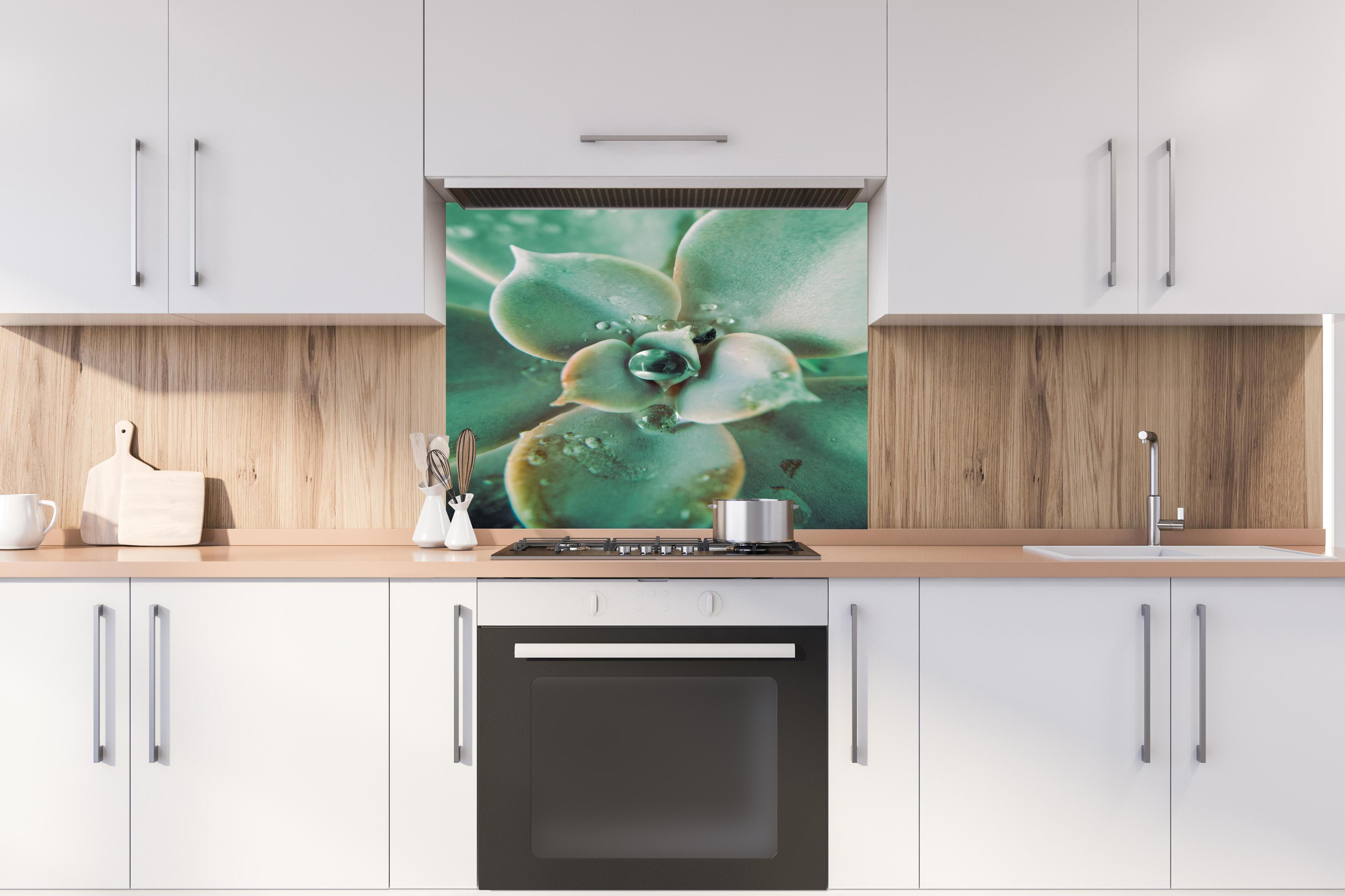 Spritzschutz - Wassertropfen - Sukkulente hinter einem Cerankochfeld zwischen Holz-Kochutensilien
