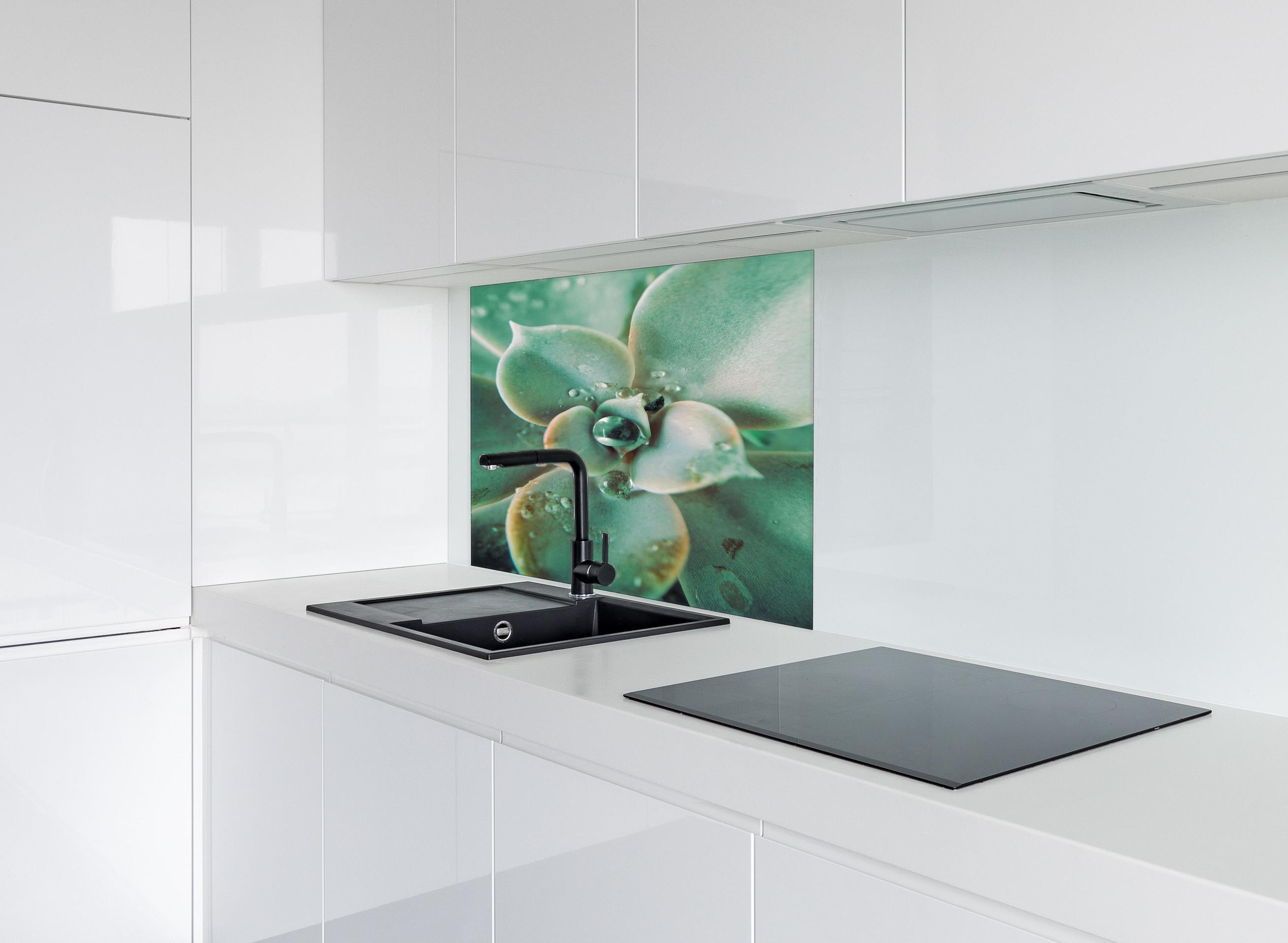 Spritzschutz - Wassertropfen - Sukkulente hinter einem Cerankochfeld zwischen Holz-Kochutensilien
