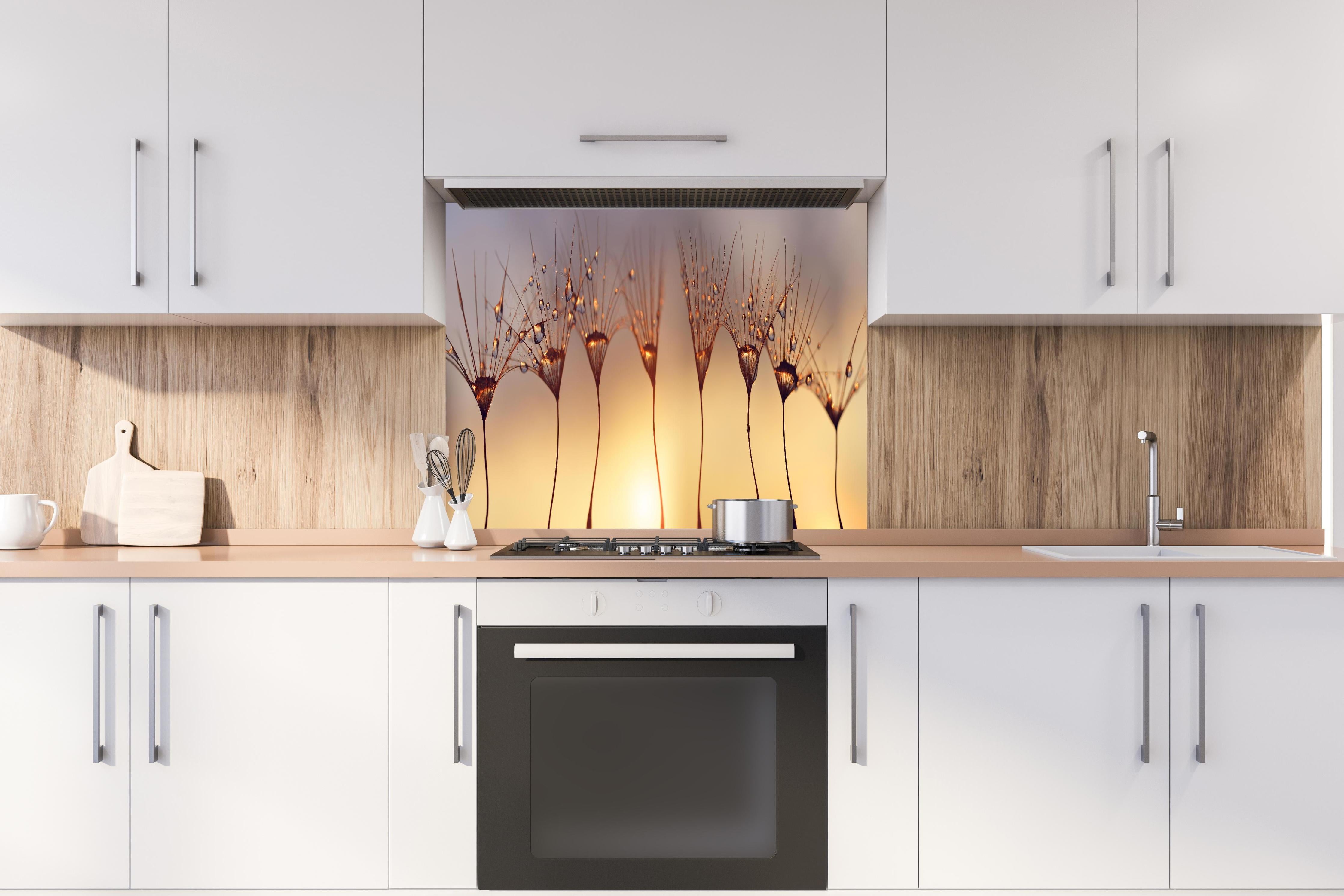 Spritzschutz - Wassertropfen auf Löwenzahnsamen hinter einem Cerankochfeld zwischen Holz-Kochutensilien
