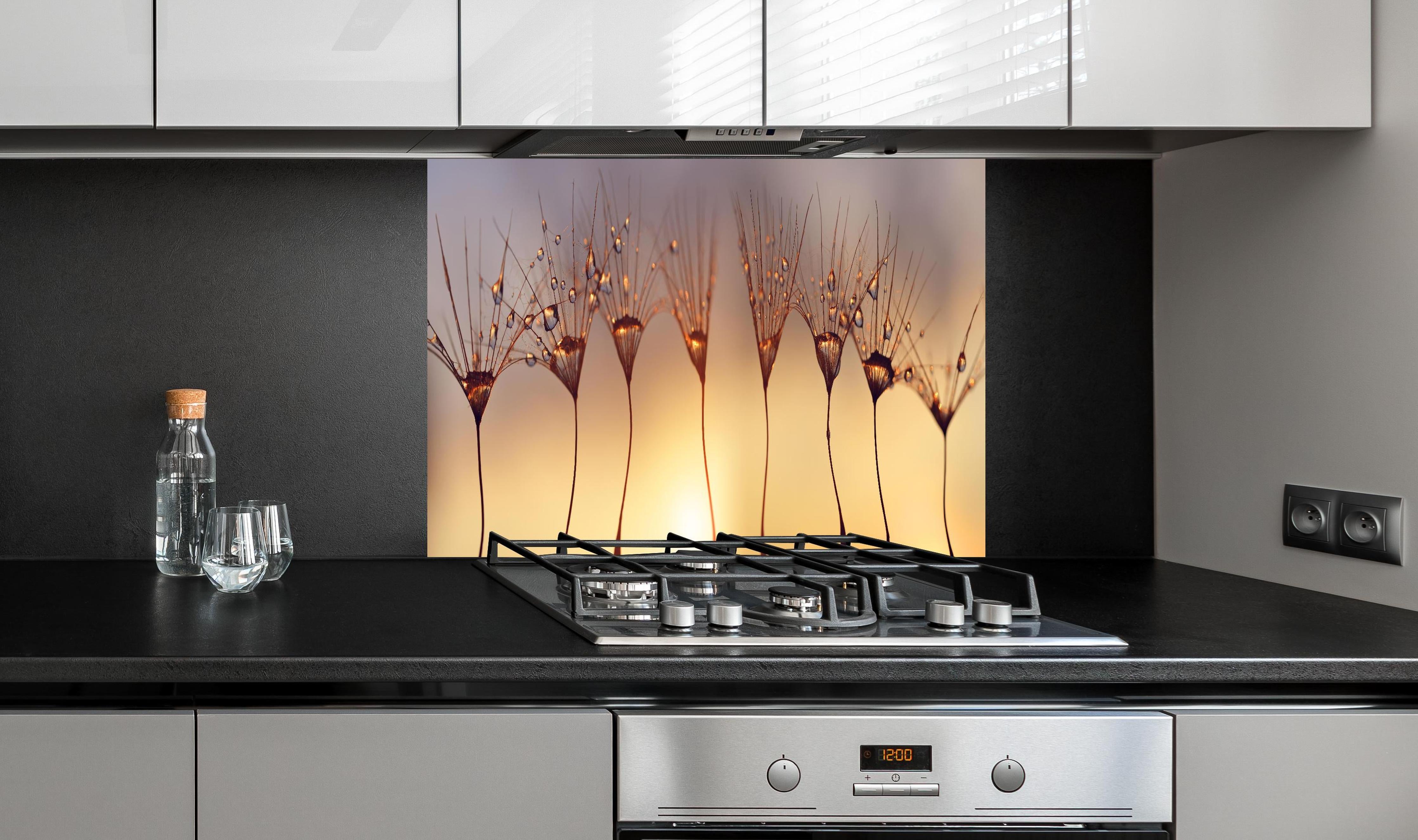 Spritzschutz - Wassertropfen auf Löwenzahnsamen hinter einem Cerankochfeld zwischen Holz-Kochutensilien
