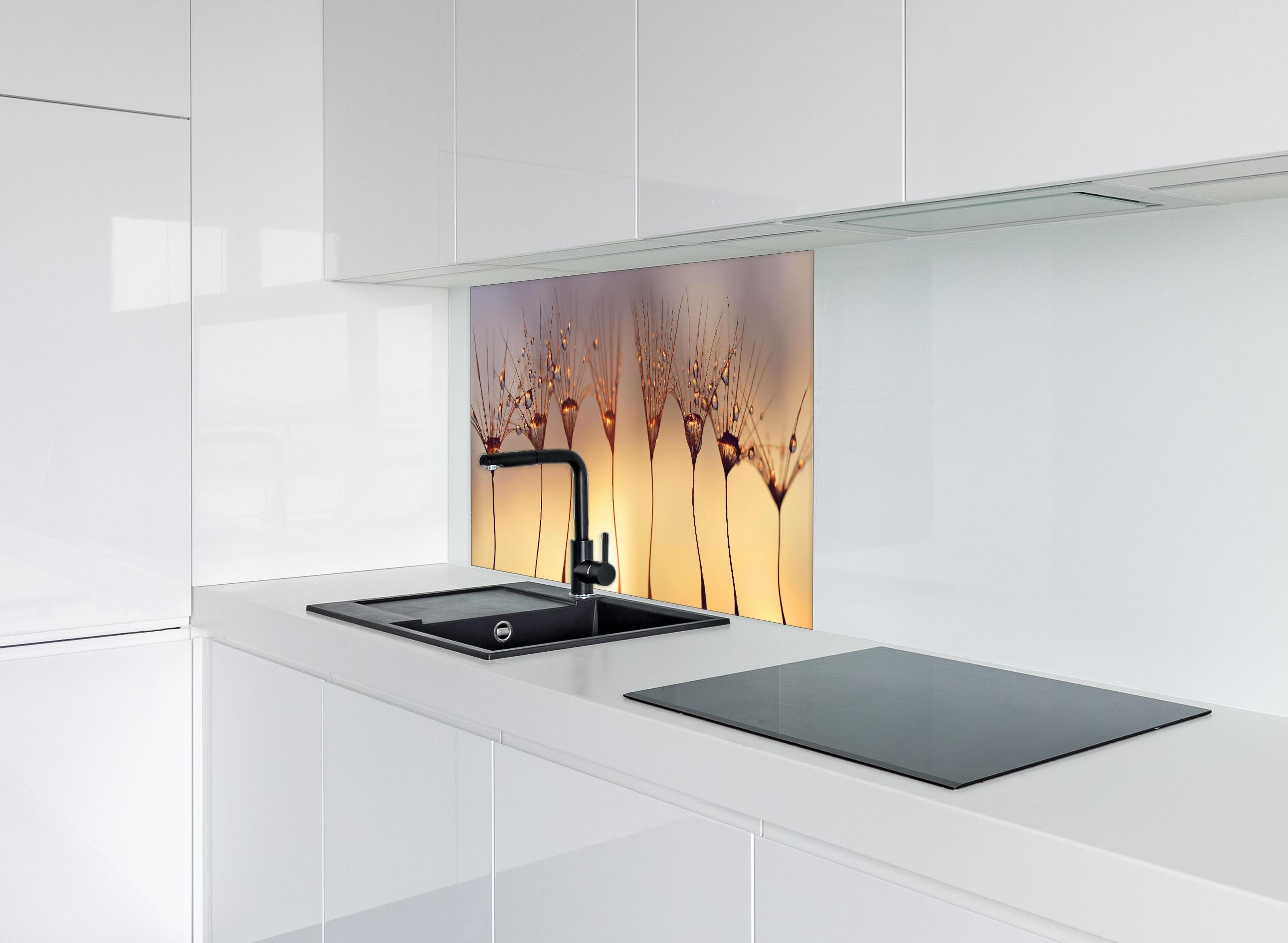 Spritzschutz - Wassertropfen auf Löwenzahnsamen hinter einem Cerankochfeld zwischen Holz-Kochutensilien
