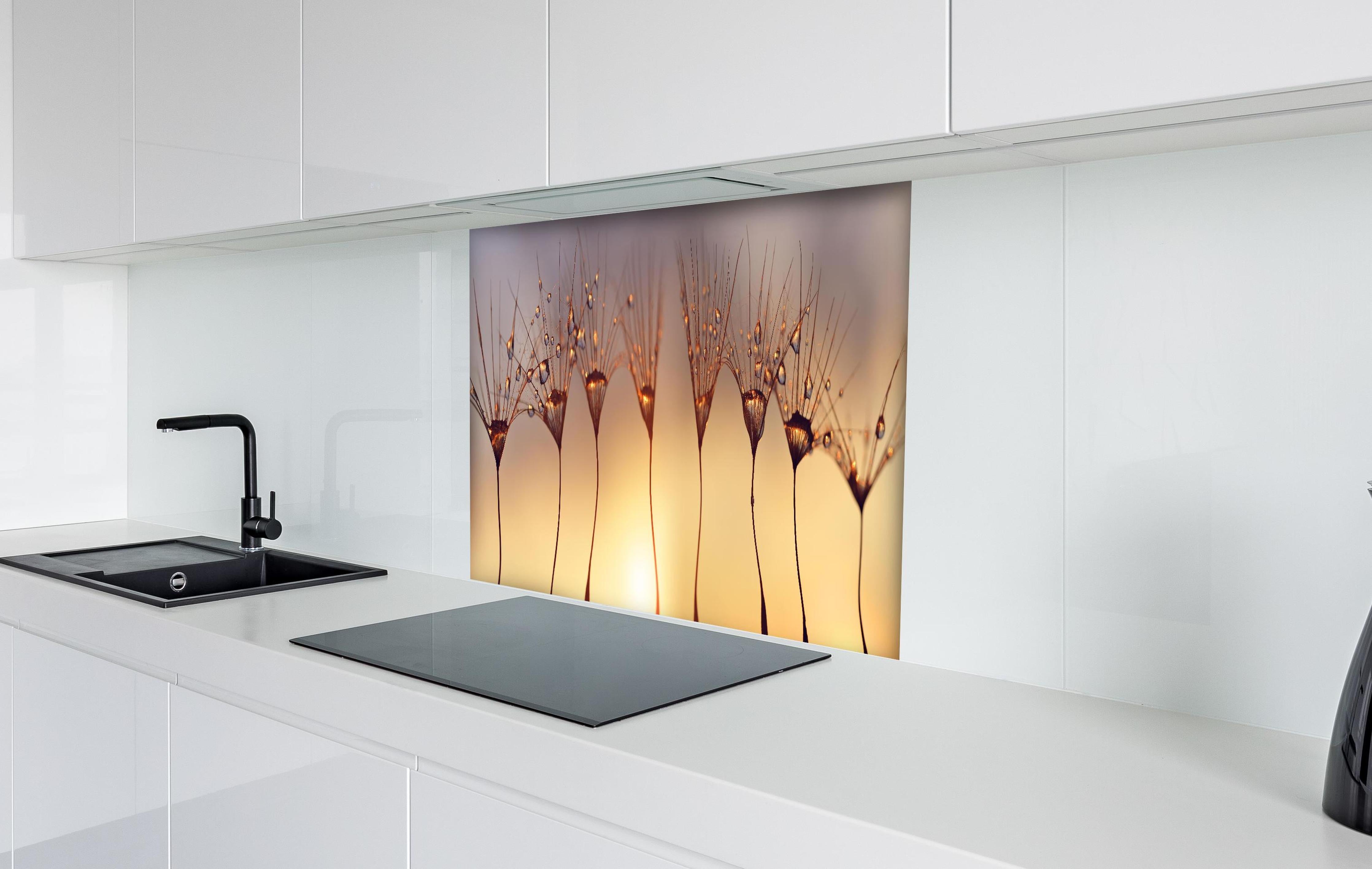 Spritzschutz - Wassertropfen auf Löwenzahnsamen hinter einem Cerankochfeld zwischen Holz-Kochutensilien
