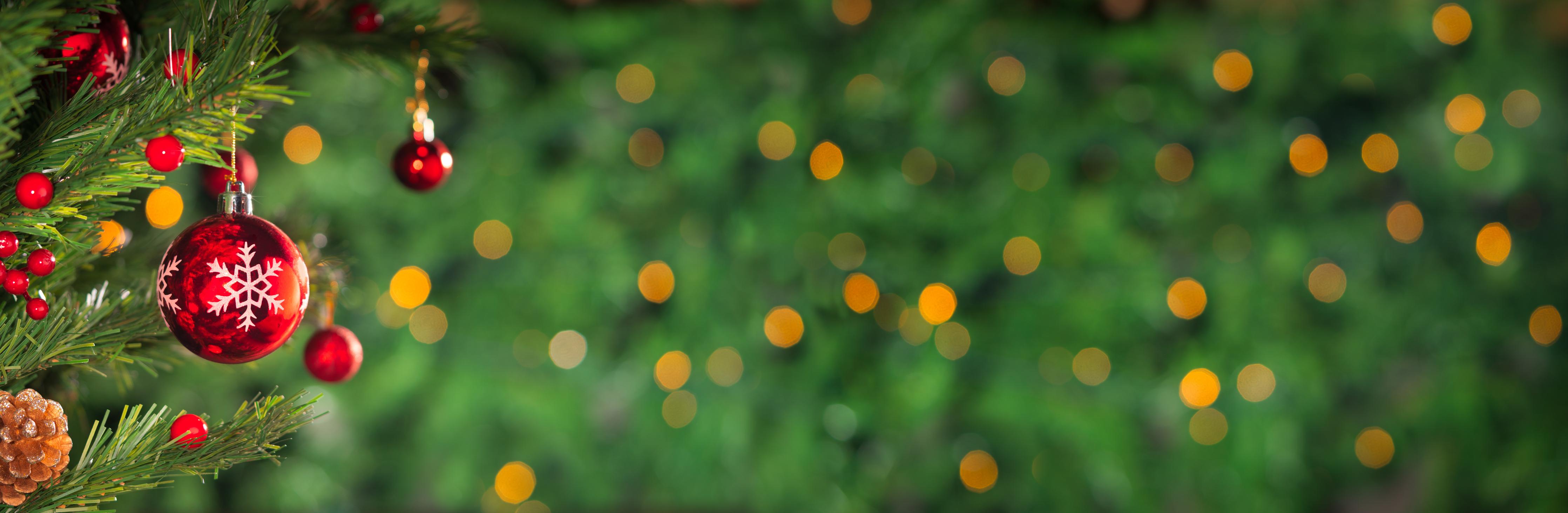 Spritzschutz-Weihnachten Banner