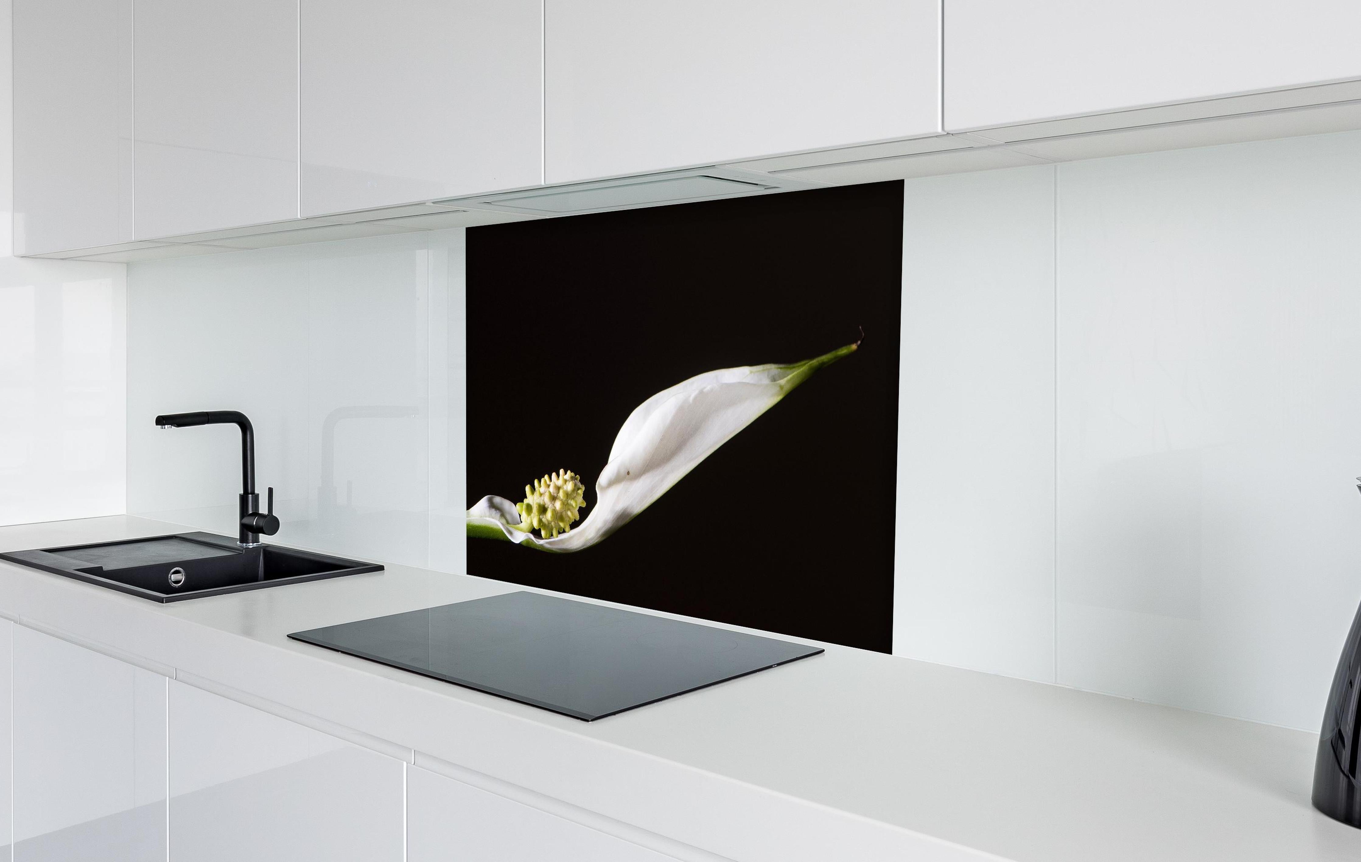 Spritzschutz - Weiße Blume auf schwarzem Hintergrund hinter einem Cerankochfeld zwischen Holz-Kochutensilien
