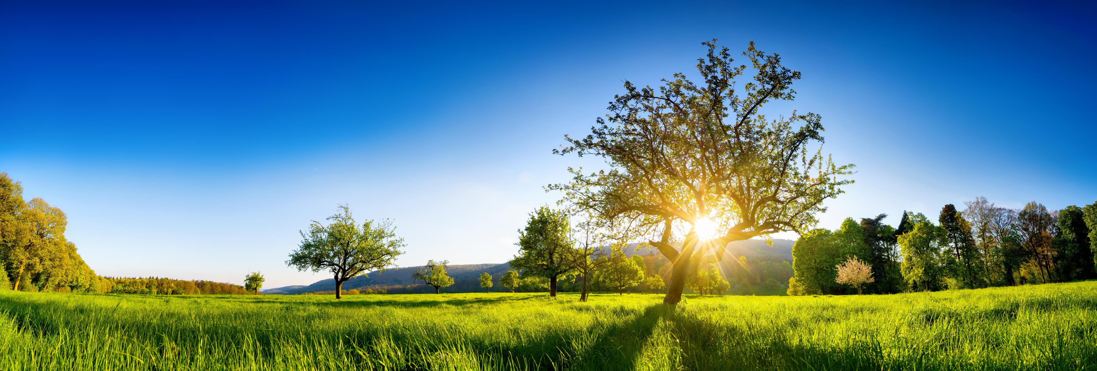 Spritzschutz-Weite Landschaft unter klarem blauem Himmel