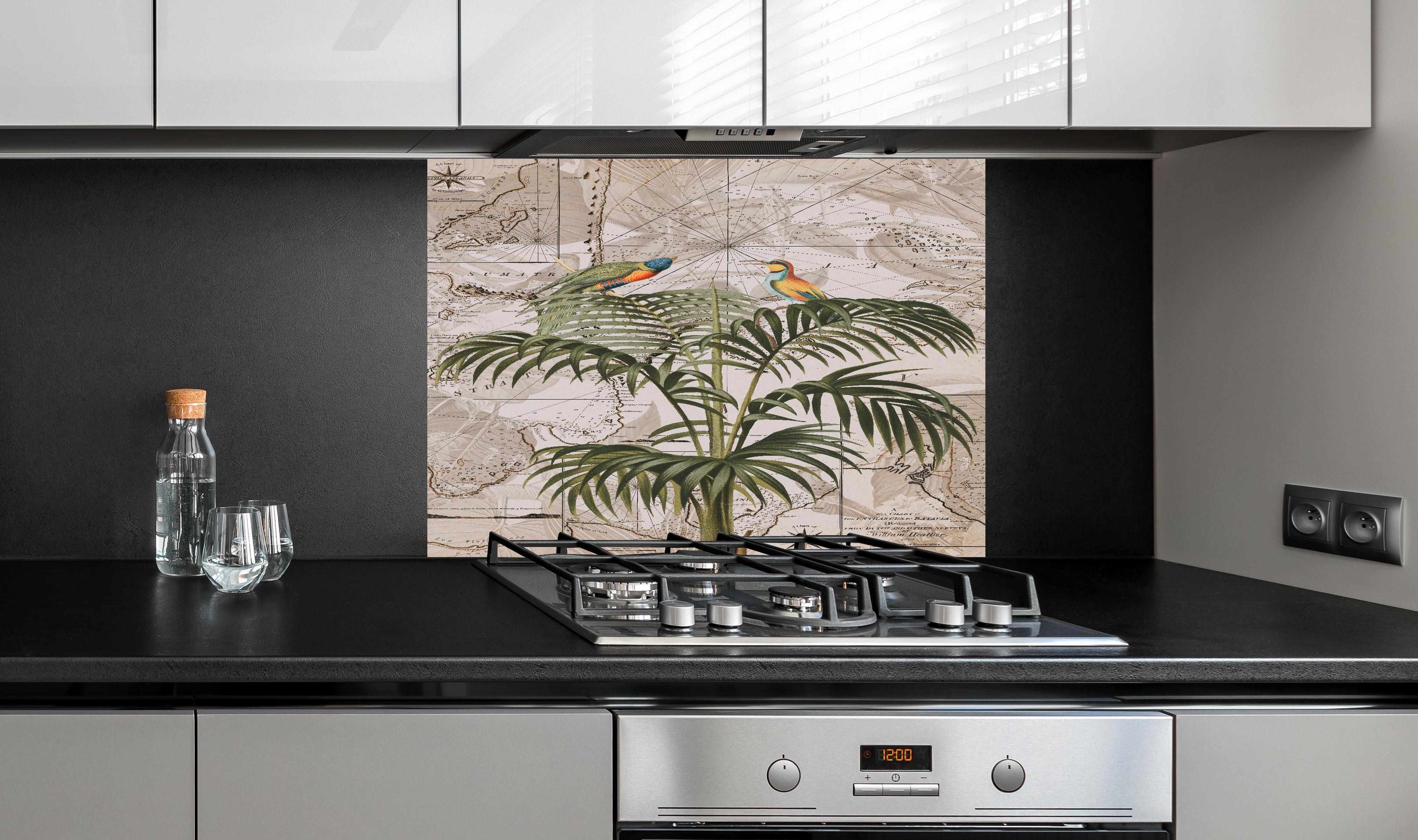 Spritzschutz - Weltkarte - Tropische Pflanze hinter einem Cerankochfeld zwischen Holz-Kochutensilien
