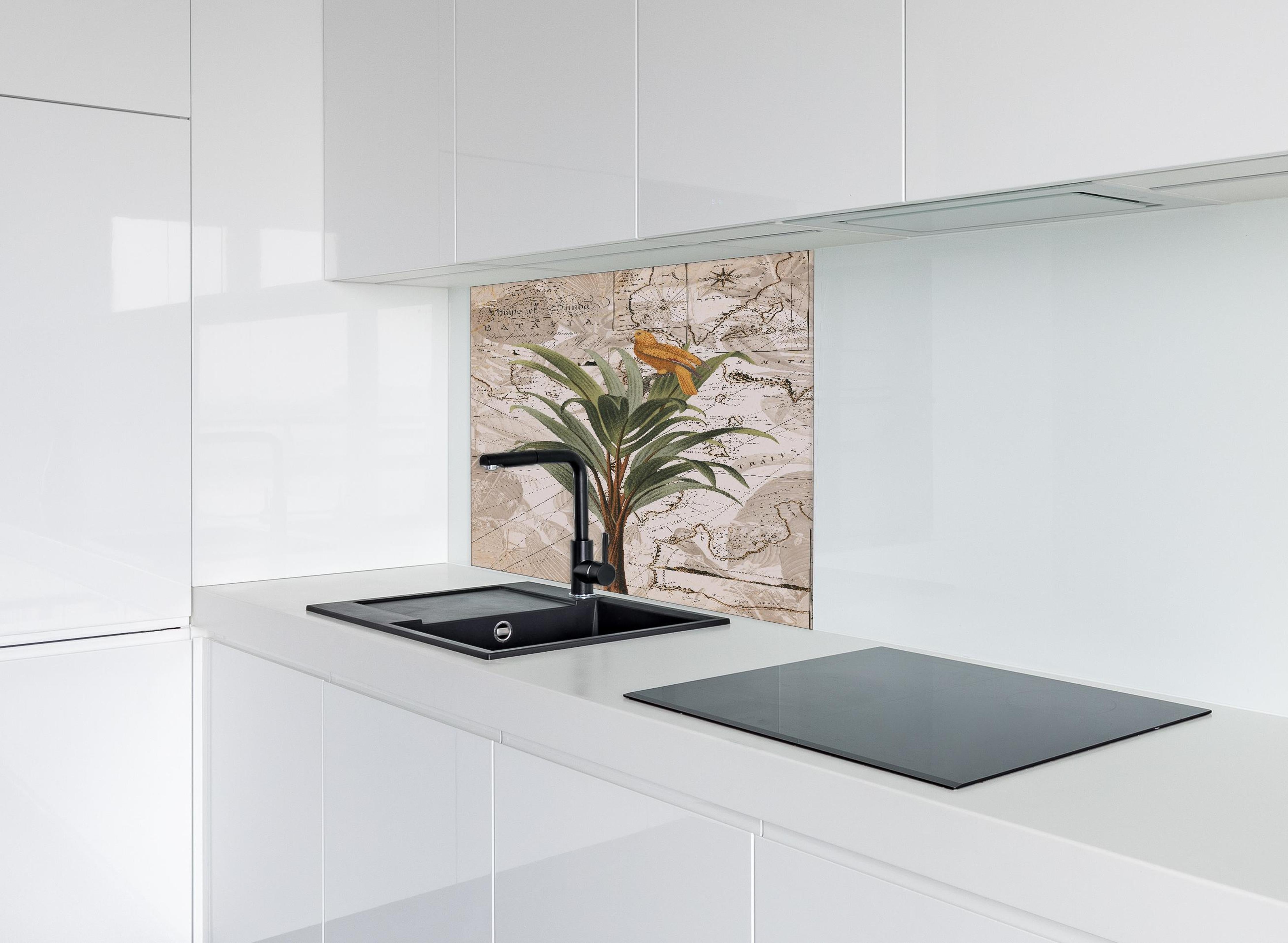 Spritzschutz - Weltkarte - tropische Pflanze hinter einem Cerankochfeld zwischen Holz-Kochutensilien
