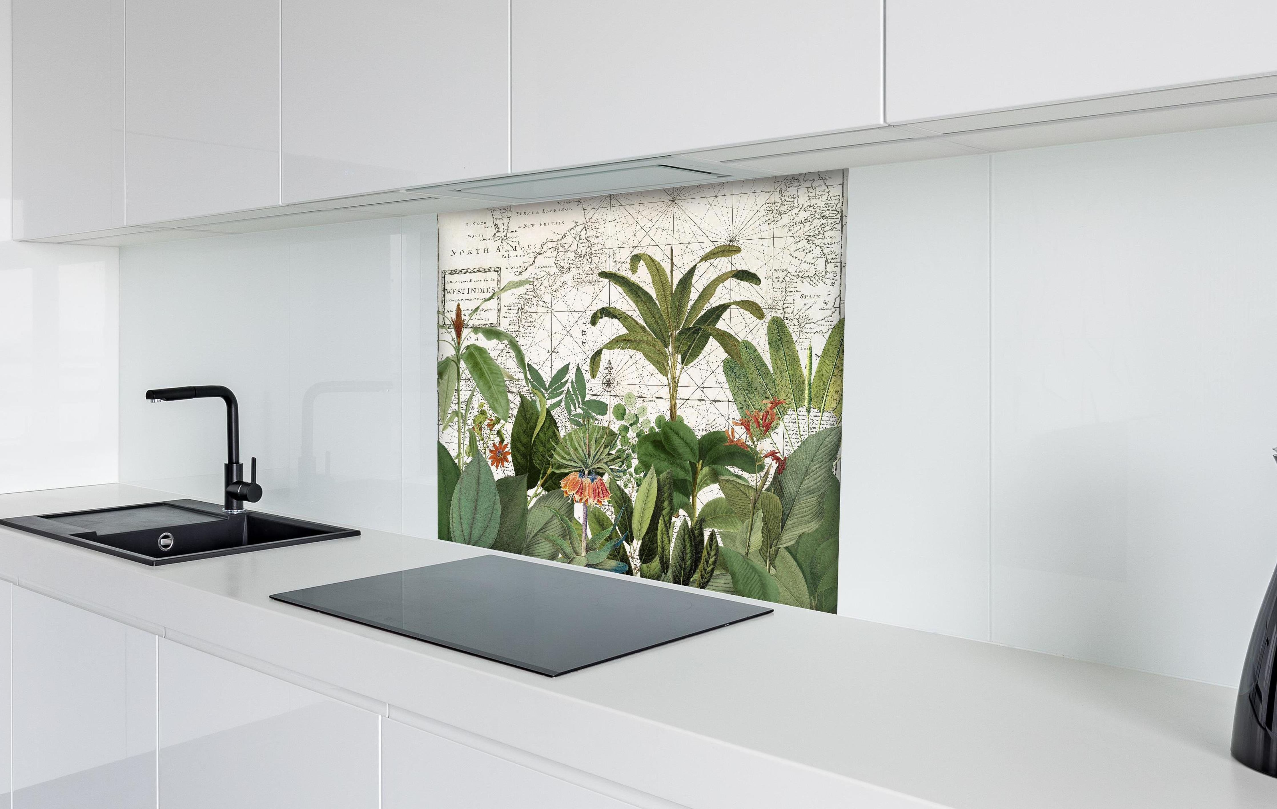 Spritzschutz - Weltkarte mit exotischen Pflanzen hinter einem Cerankochfeld zwischen Holz-Kochutensilien
