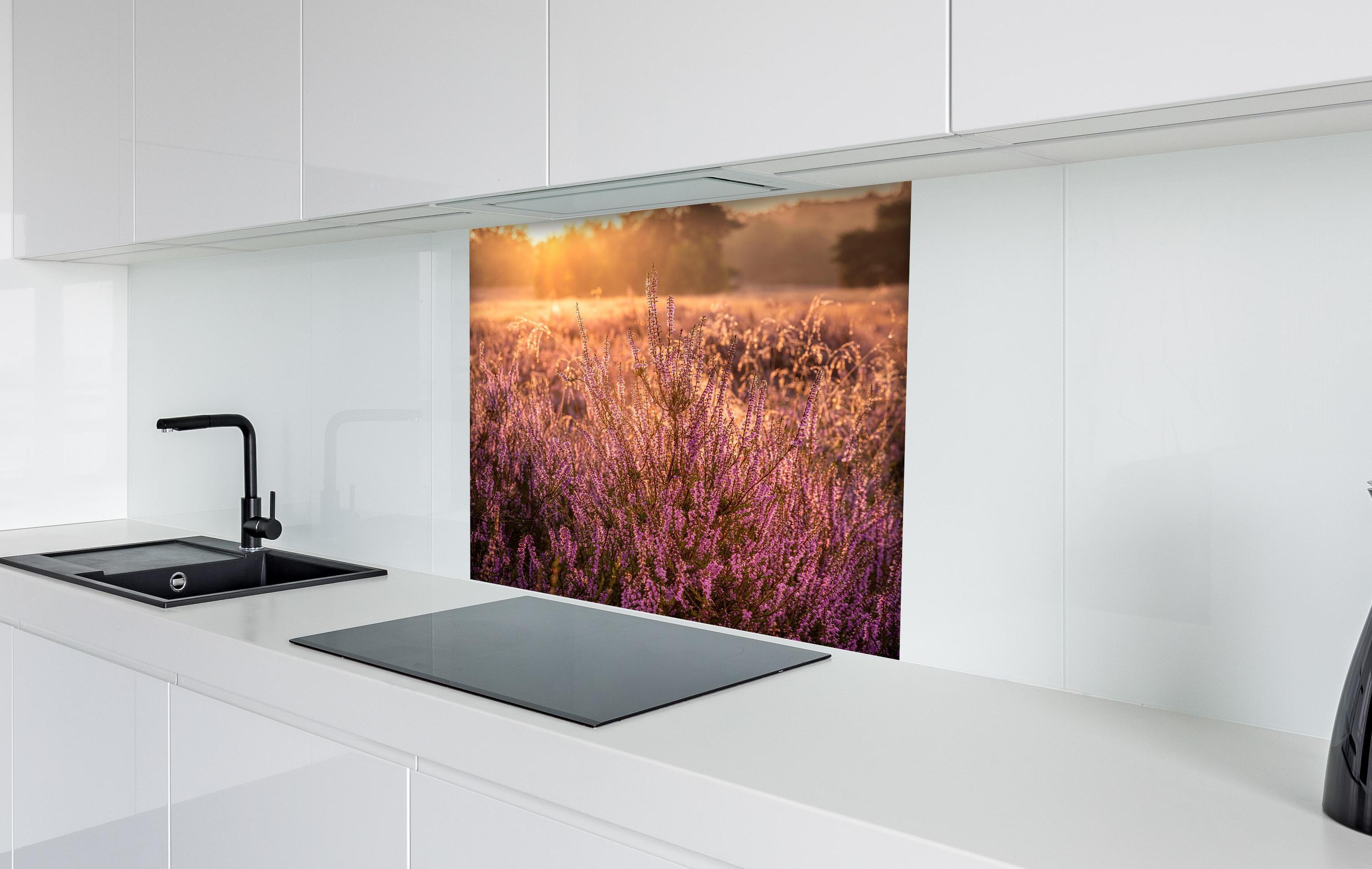 Spritzschutz - Westruper Heide bei Haltern im Münsterland hinter einem Cerankochfeld zwischen Holz-Kochutensilien
