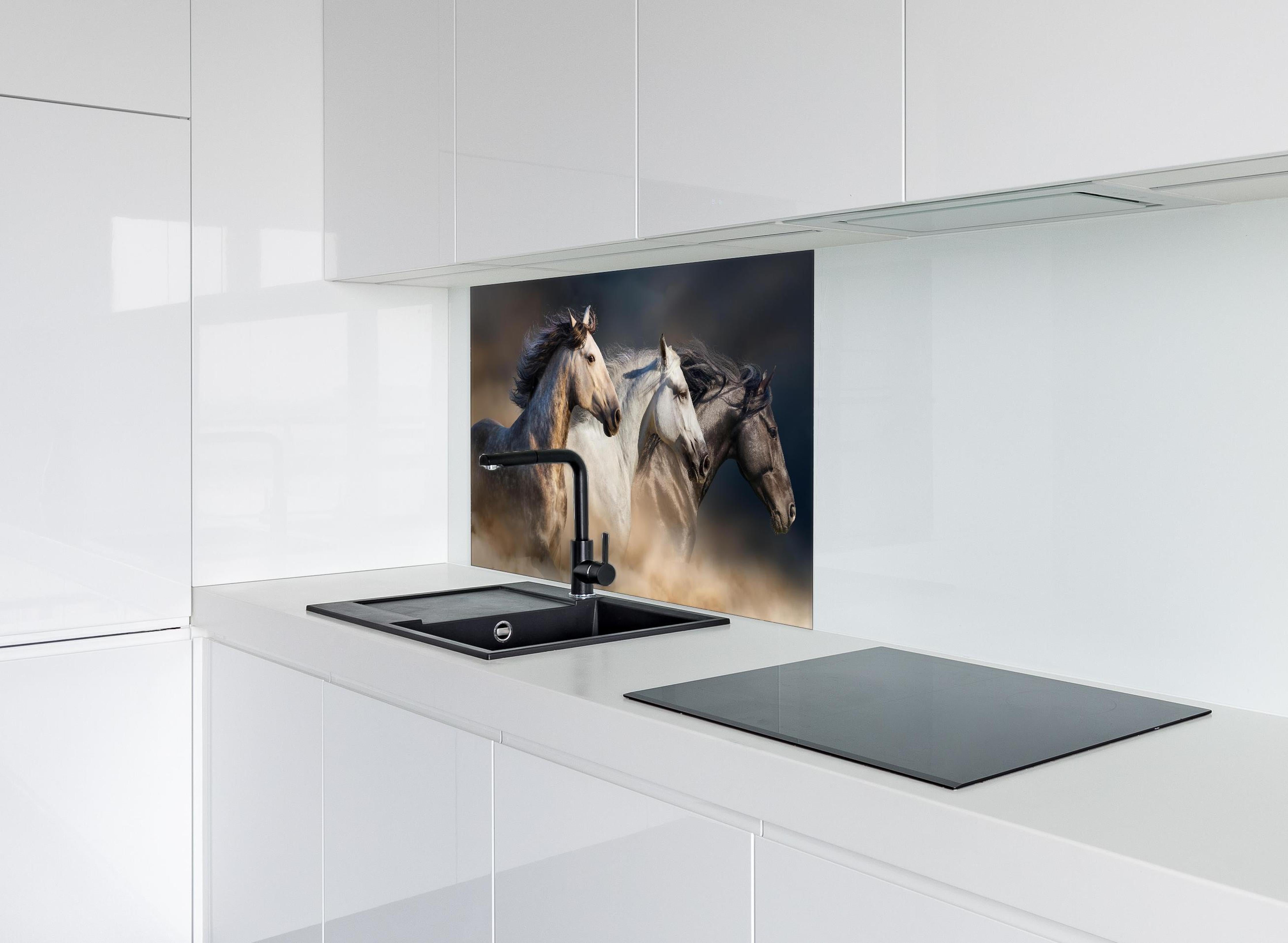 Spritzschutz - Wild Pferde mit Mähnen im Galopp, Staubwolke hinter einem Cerankochfeld zwischen Holz-Kochutensilien
