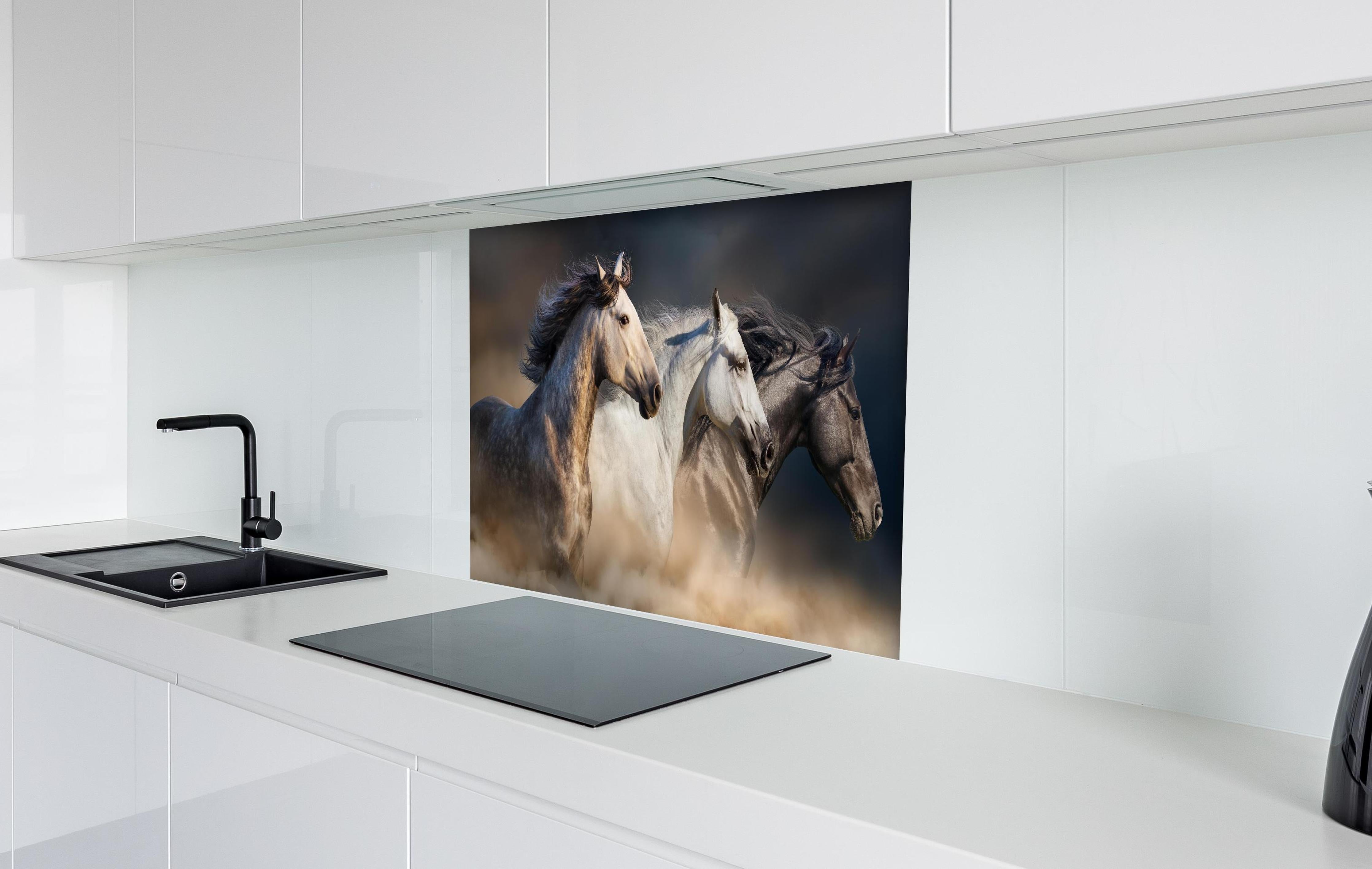 Spritzschutz - Wild Pferde mit Mähnen im Galopp, Staubwolke hinter einem Cerankochfeld zwischen Holz-Kochutensilien
