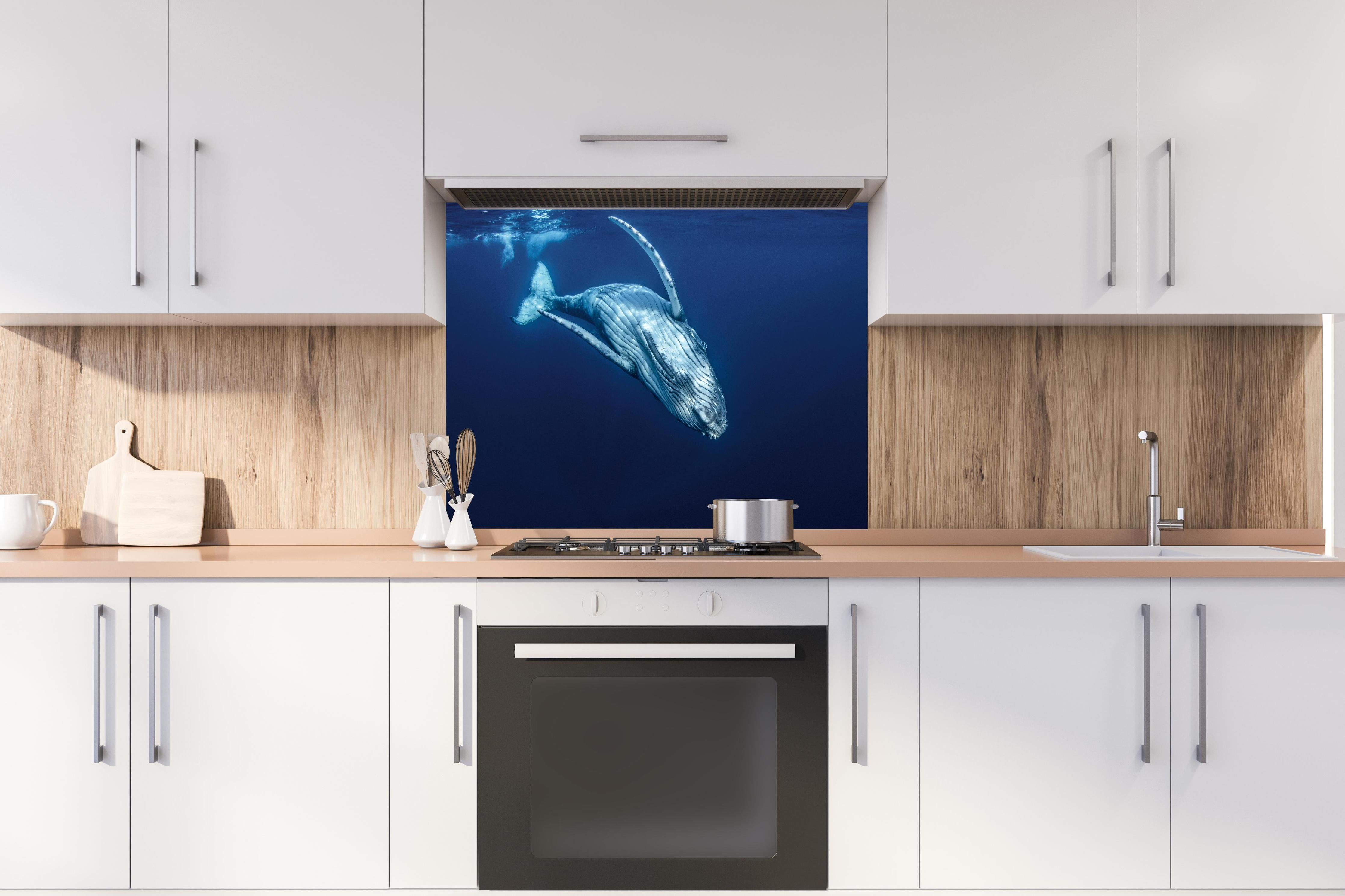 Spritzschutz - Wunderschönes Buckelwalbaby hinter einem Cerankochfeld zwischen Holz-Kochutensilien
