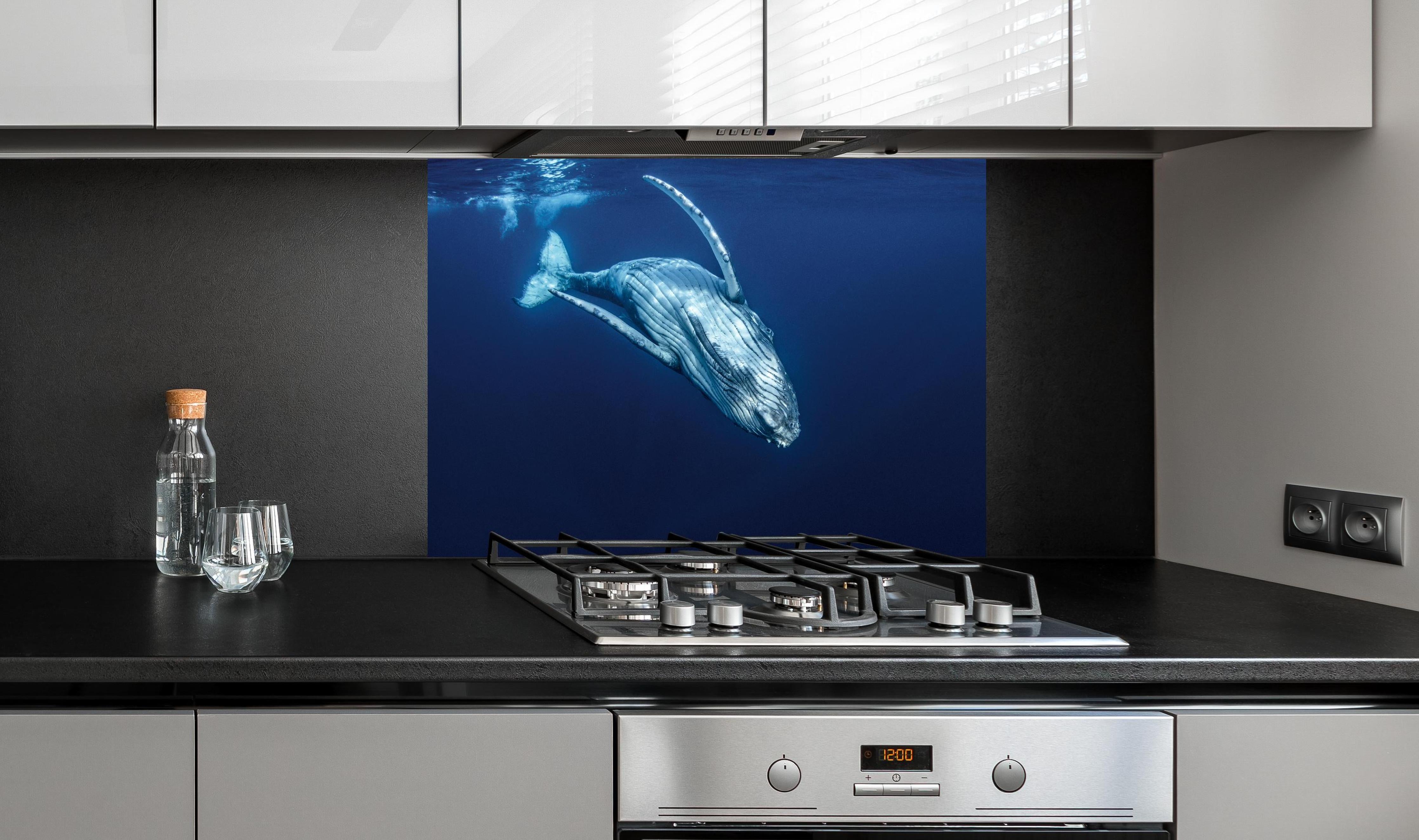 Spritzschutz - Wunderschönes Buckelwalbaby hinter einem Cerankochfeld zwischen Holz-Kochutensilien
