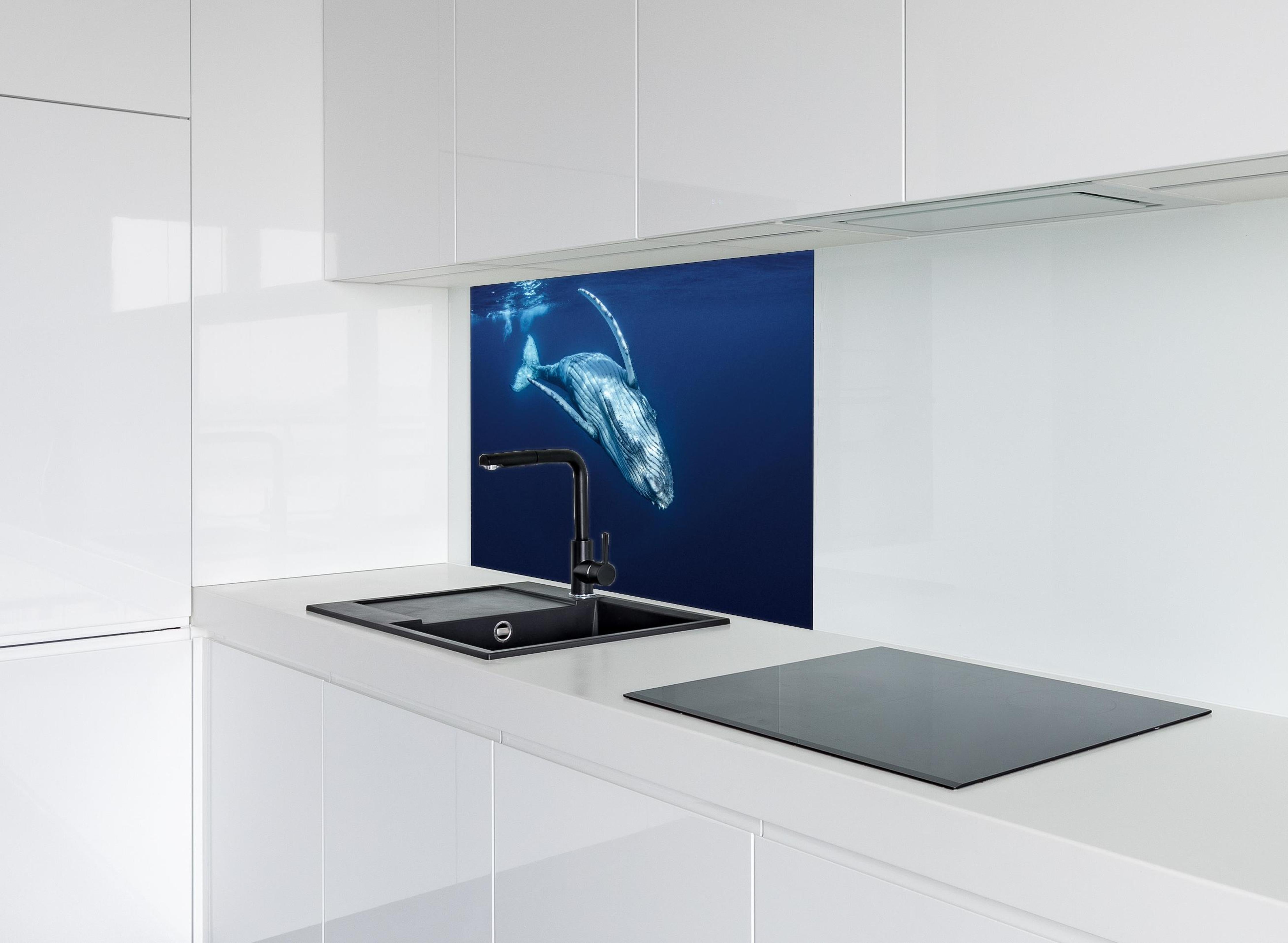 Spritzschutz - Wunderschönes Buckelwalbaby hinter einem Cerankochfeld zwischen Holz-Kochutensilien
