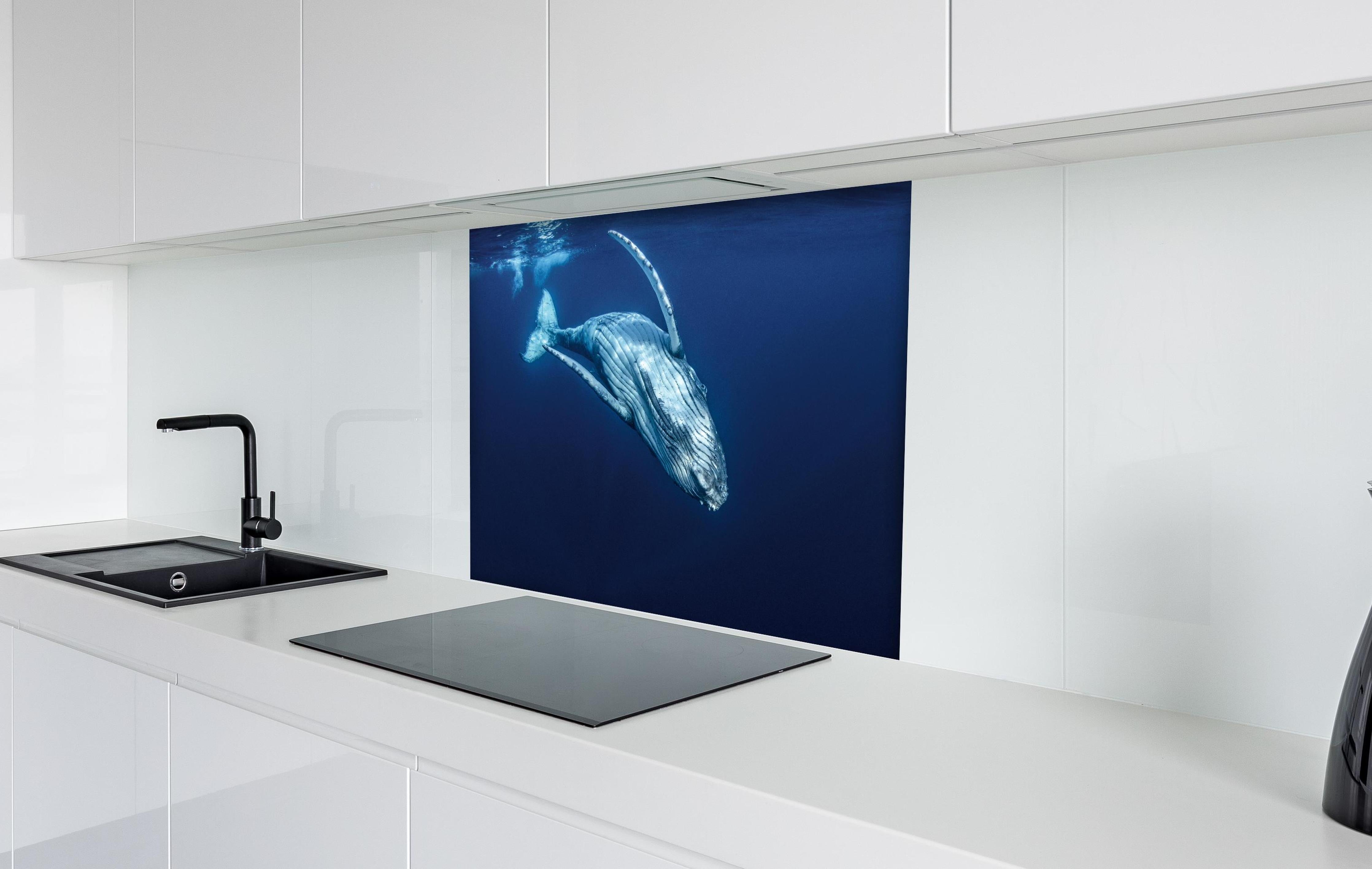 Spritzschutz - Wunderschönes Buckelwalbaby hinter einem Cerankochfeld zwischen Holz-Kochutensilien
