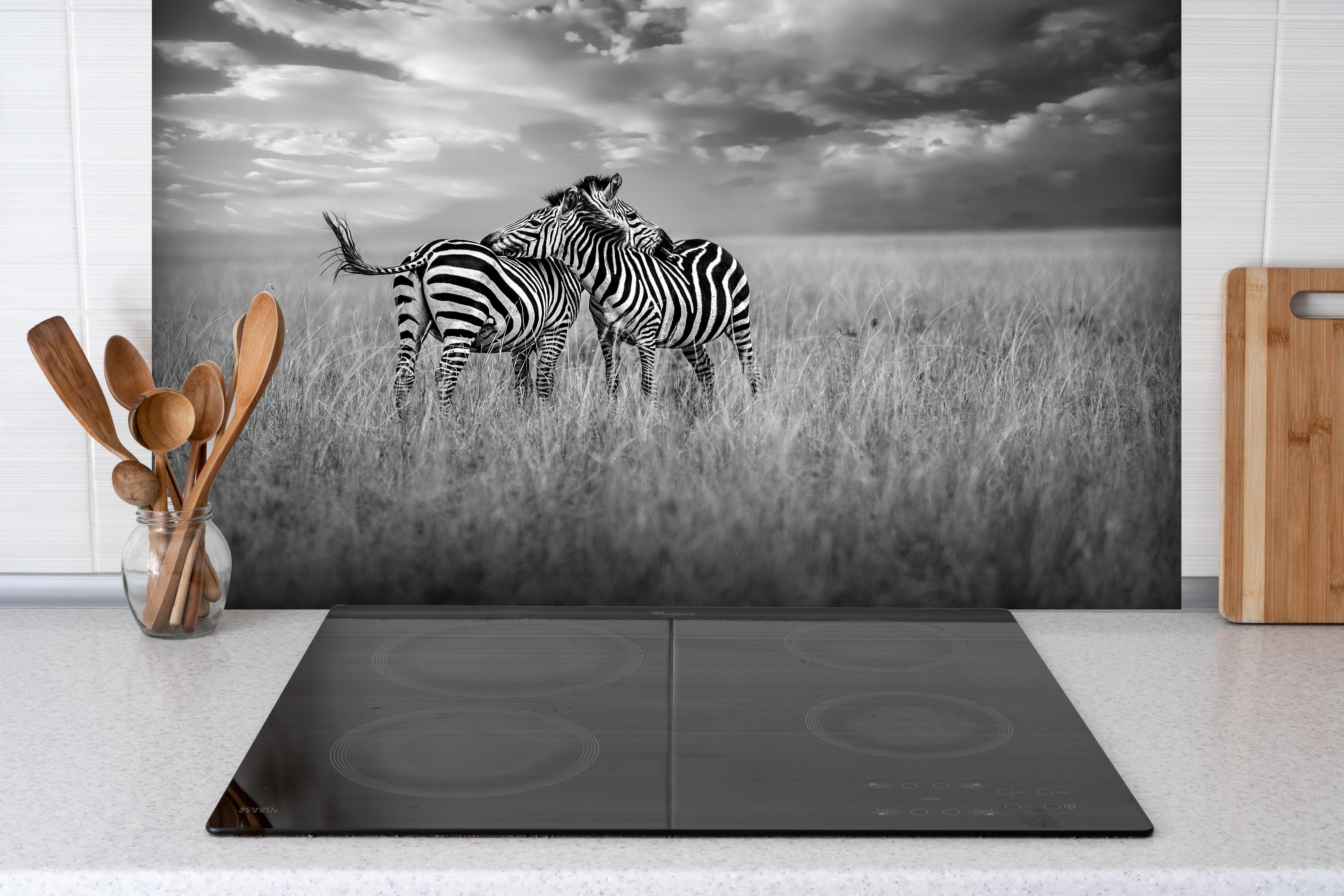 Spritzschutz - Zebras in ihrer Natur - Savanne hinter einem Cerankochfeld zwischen Holz-Kochutensilien
