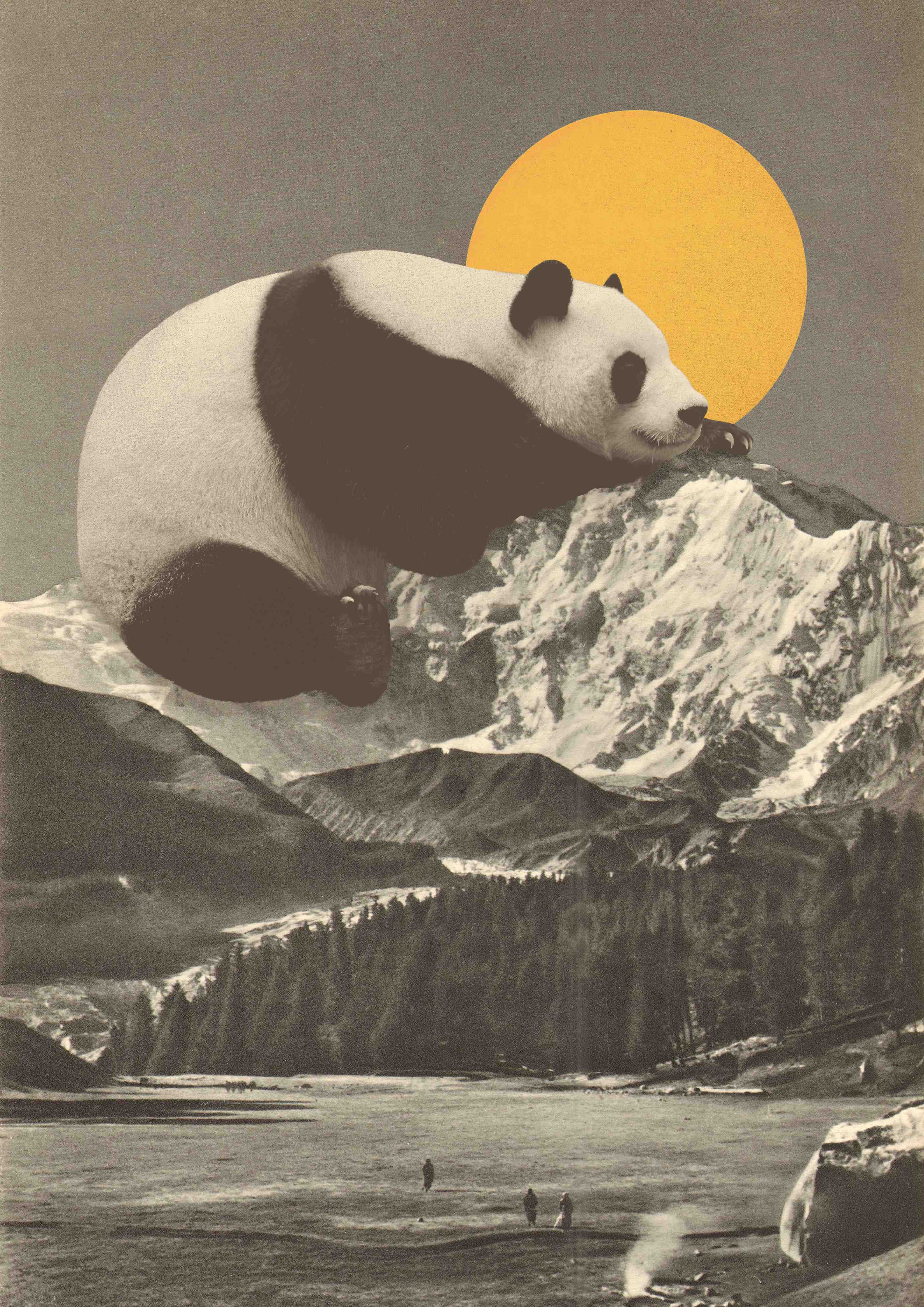Große Wandbilder-Panda Berglandschaft S/W