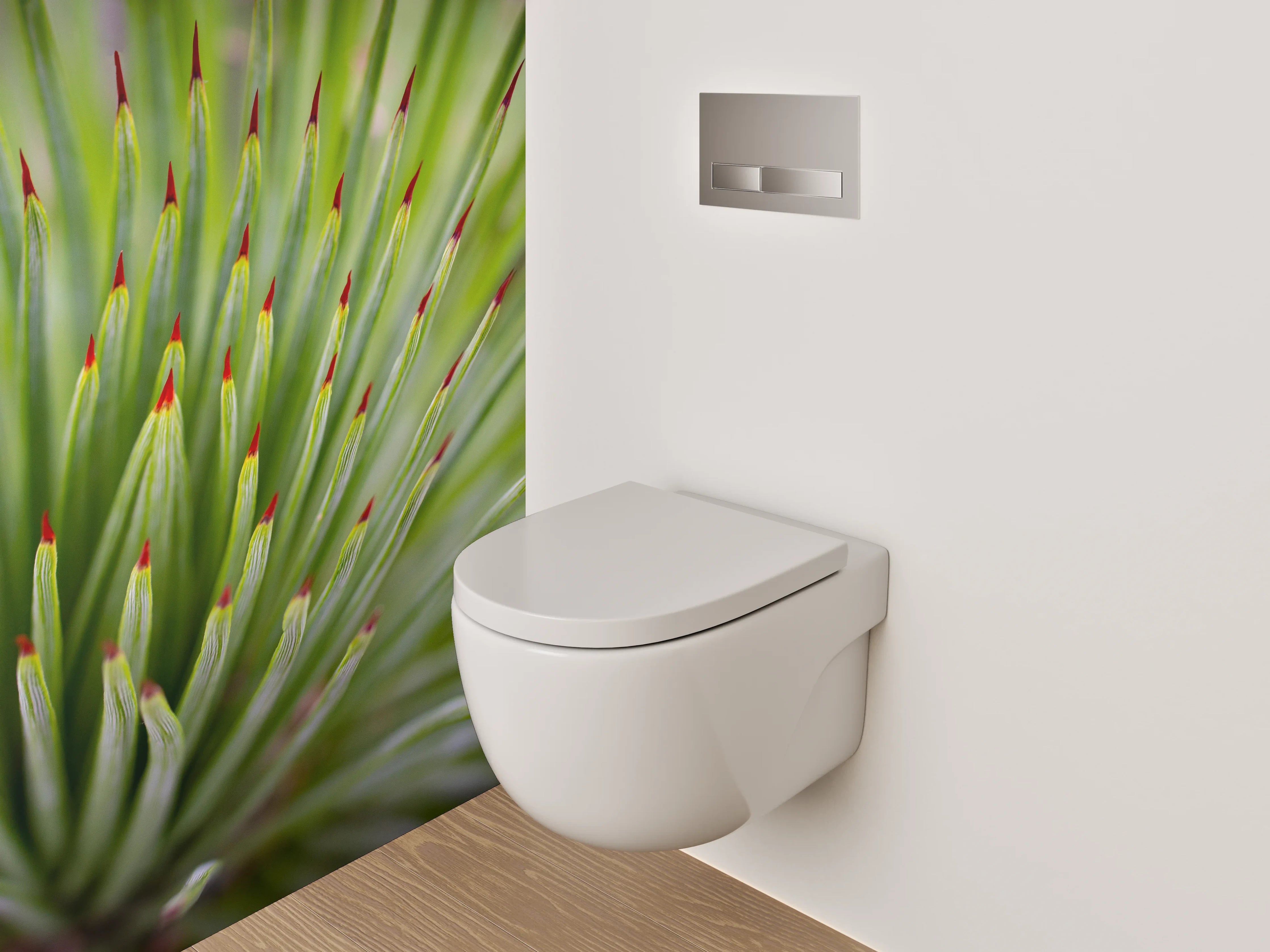 WC-Rückwand - Agave Nahaufnahme Makro Grün