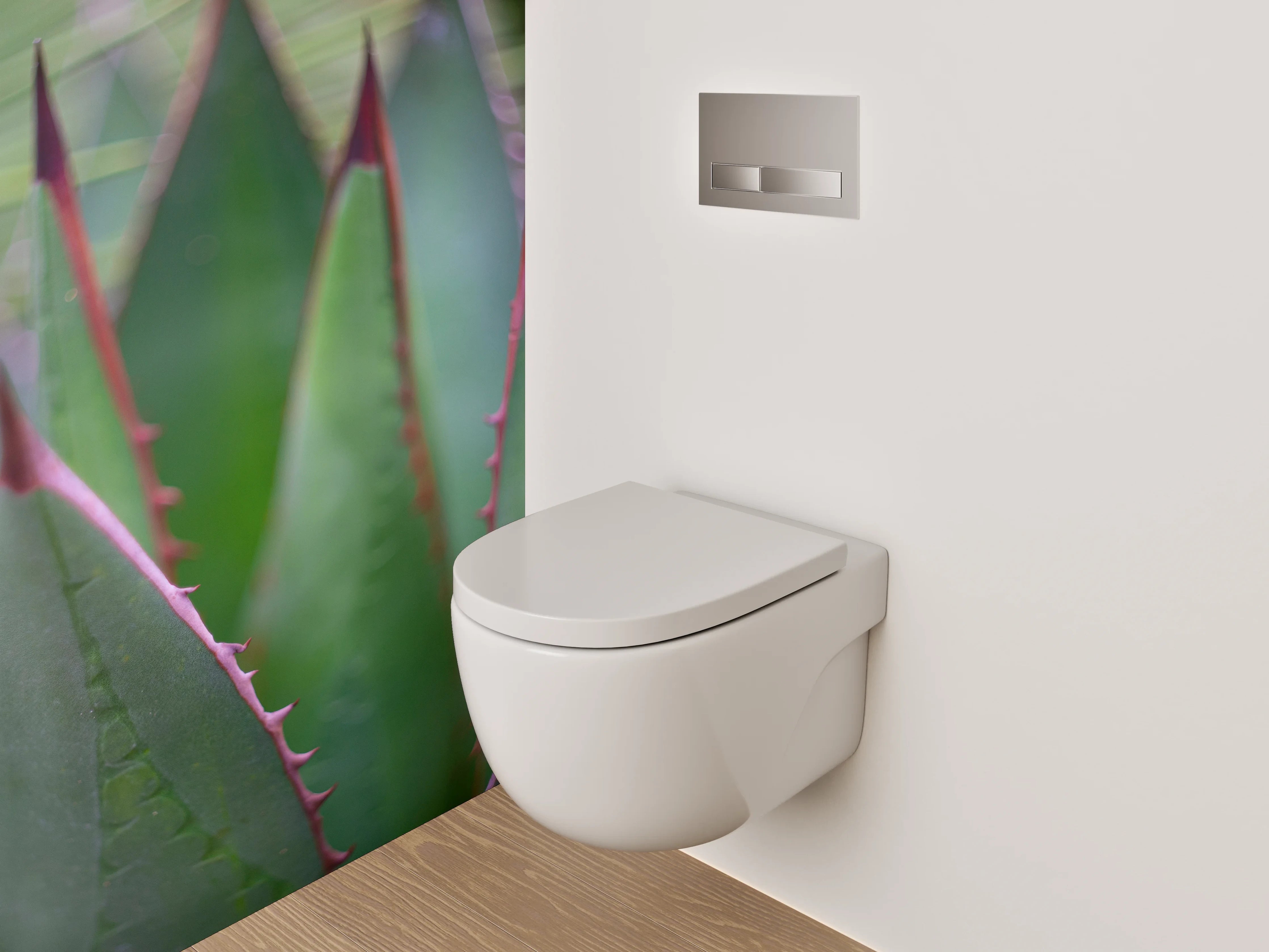 WC-Rückwand - Agavenblatt Makro – Grüner Kaktus