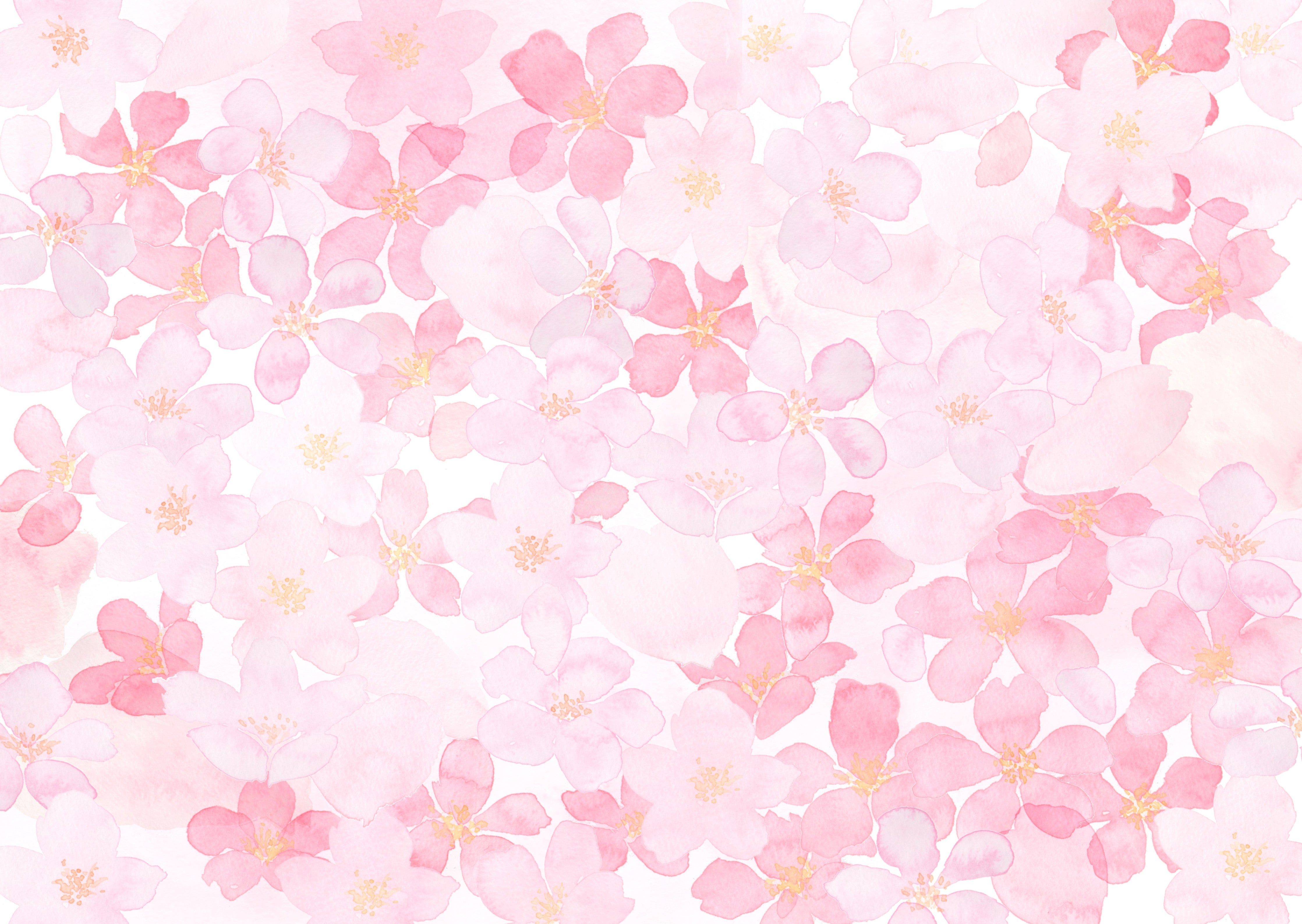 WC-Rückwand-Aquarell Kirschblüten Rosa Weiß