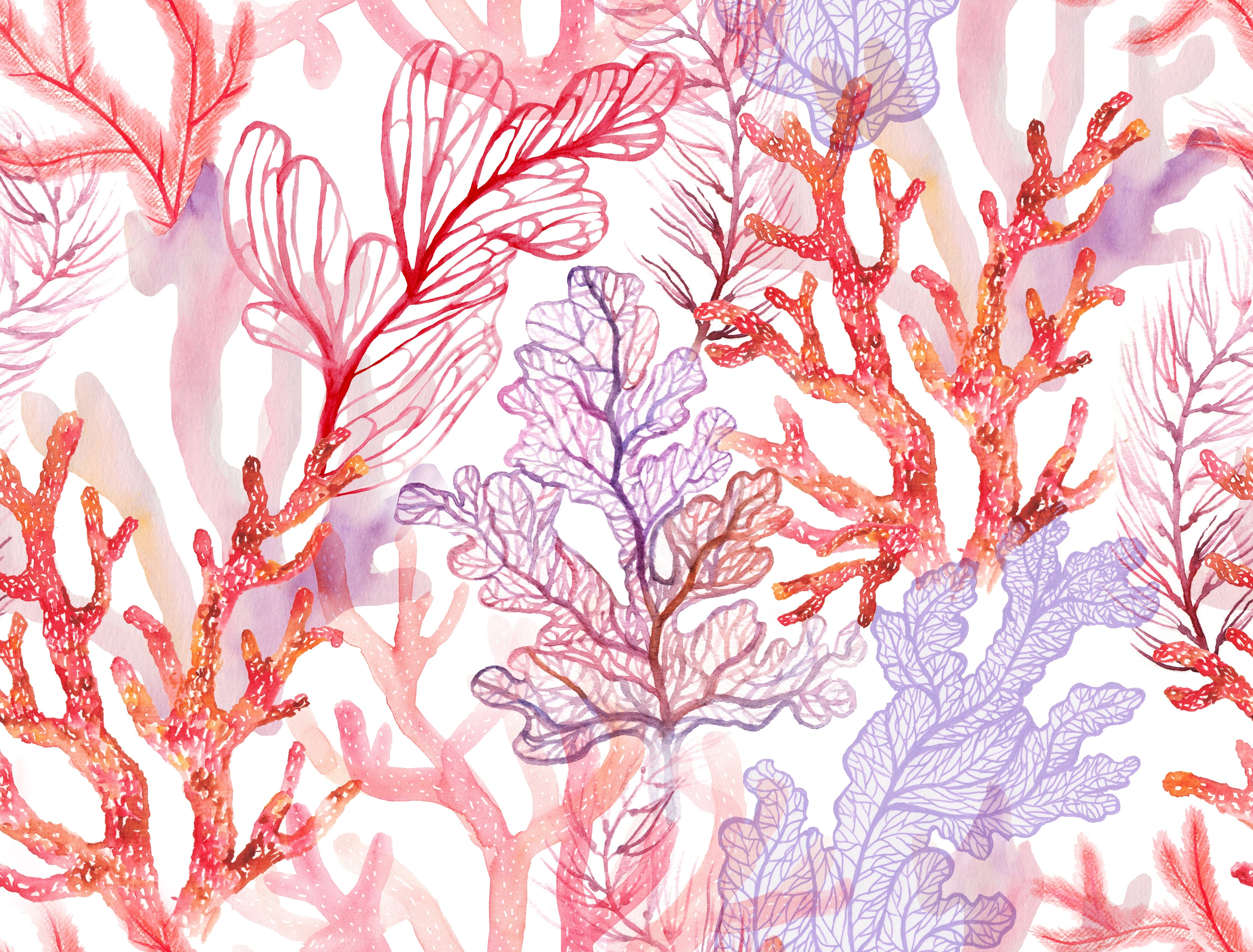 WC-Rückwand-Aquarell Korallenmuster Orange Lila Rosa