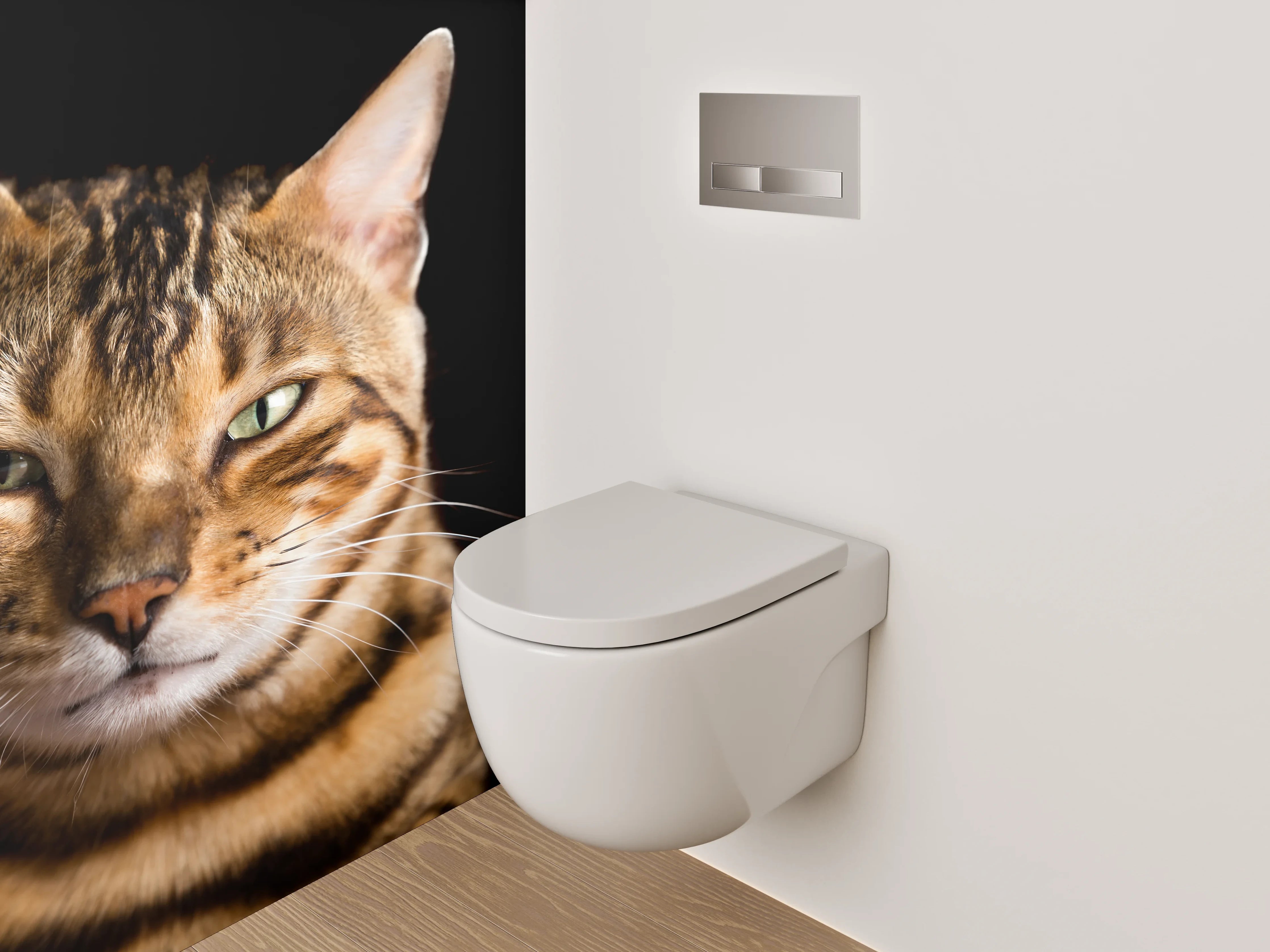 WC-Rückwand - Bengalkatze auf schwarzem Hintergrund