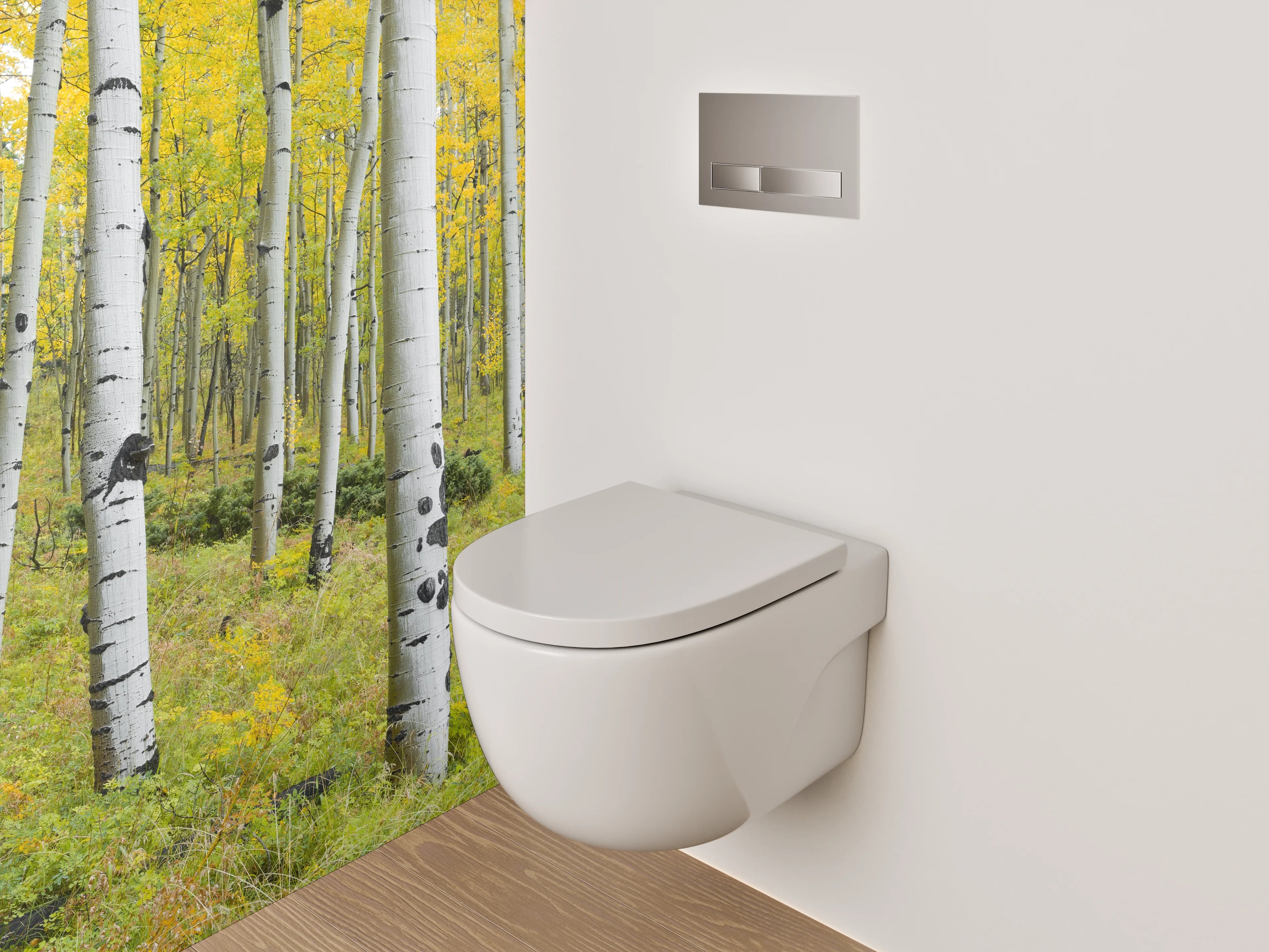 WC-Rückwand - Birkenwald Panorama Frühjahr