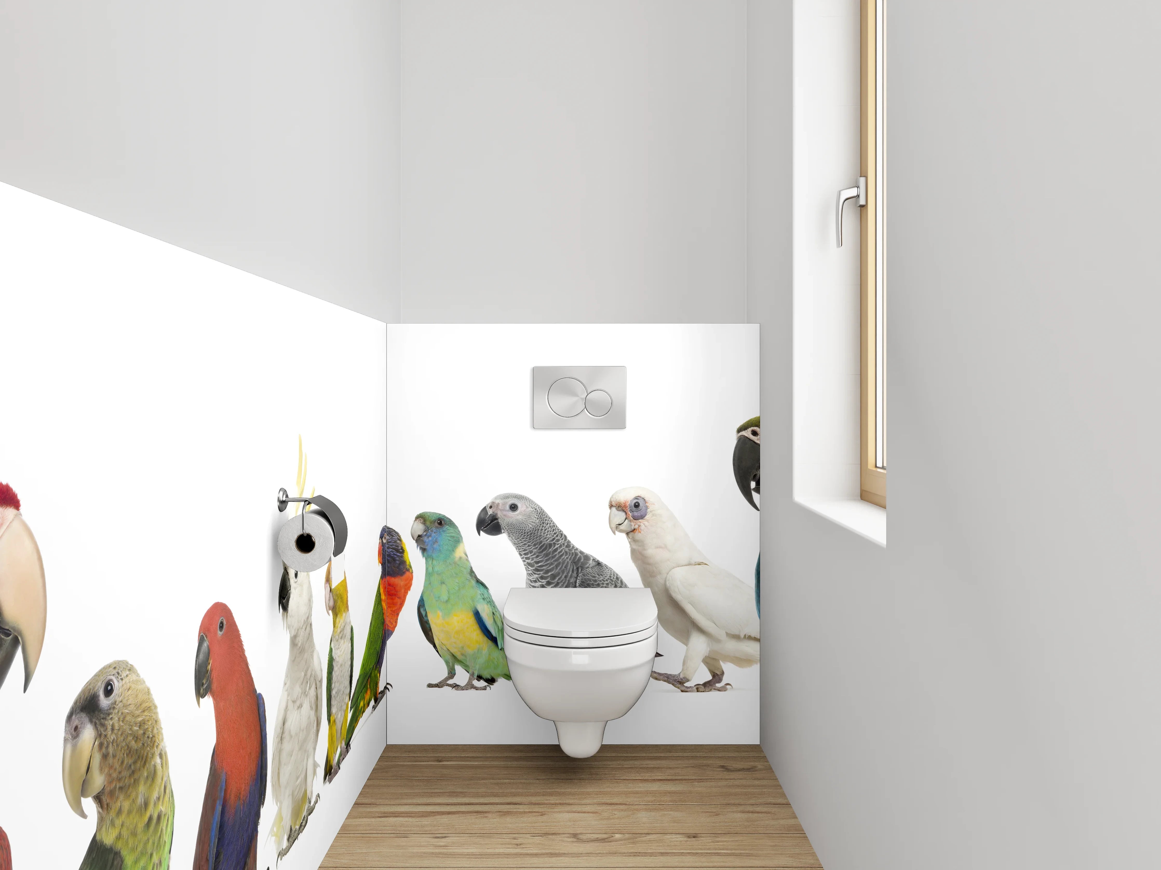 WC-Rückwand - Bunte Papageien-Vielfalt