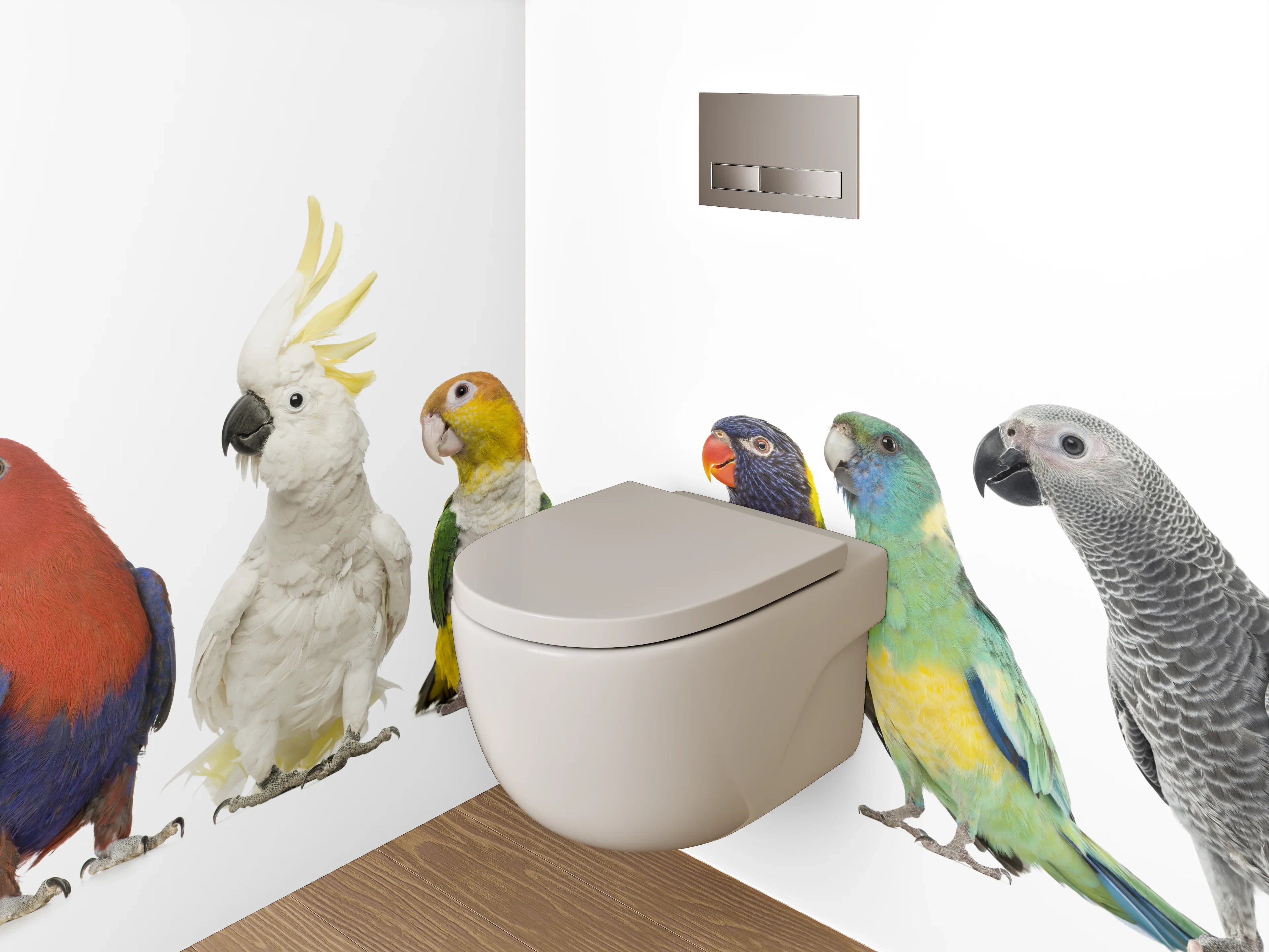 WC-Rückwand - Bunte Papageien-Vielfalt