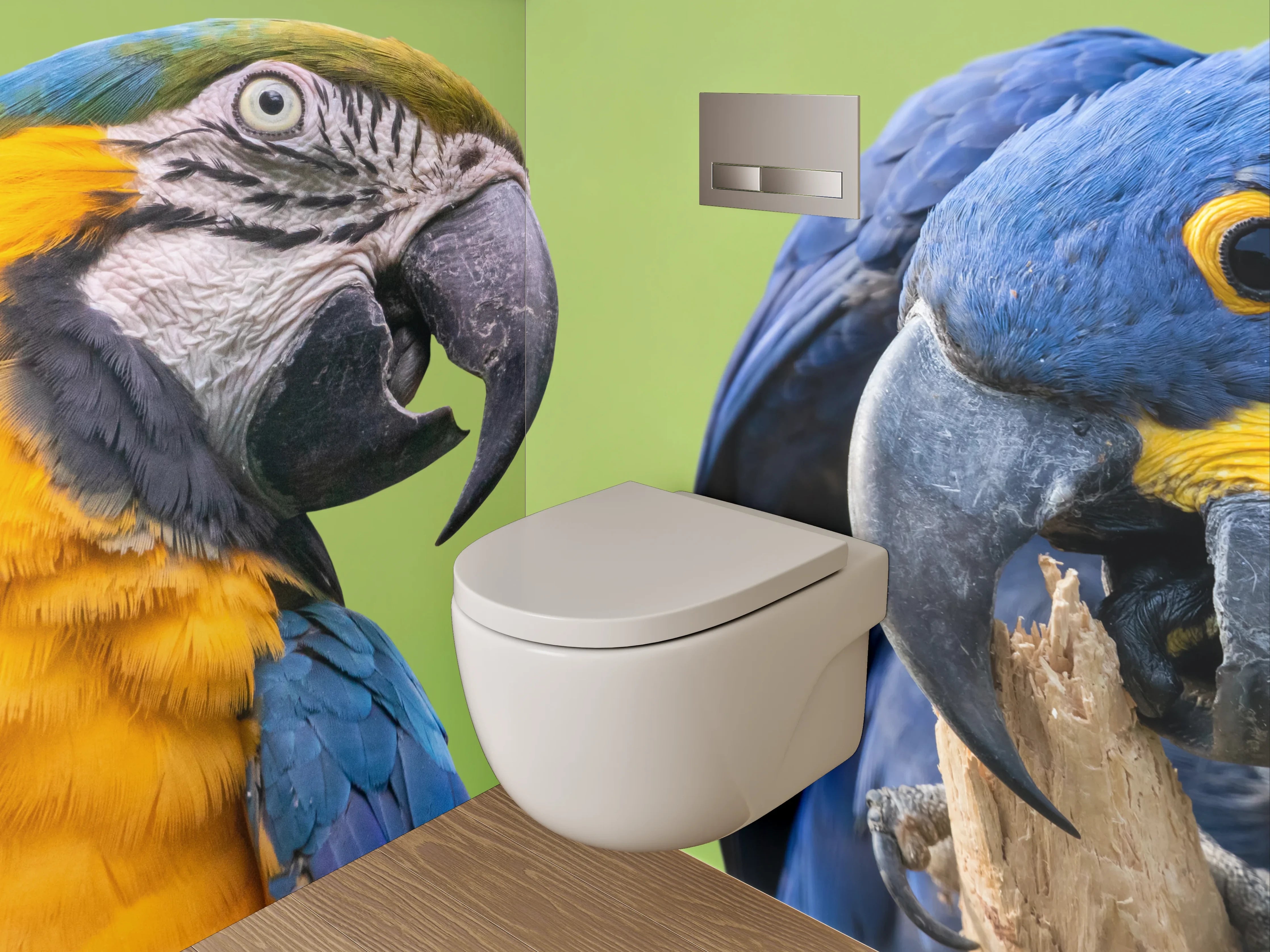 WC-Rückwand - Bunte Papageien auf Tropenast