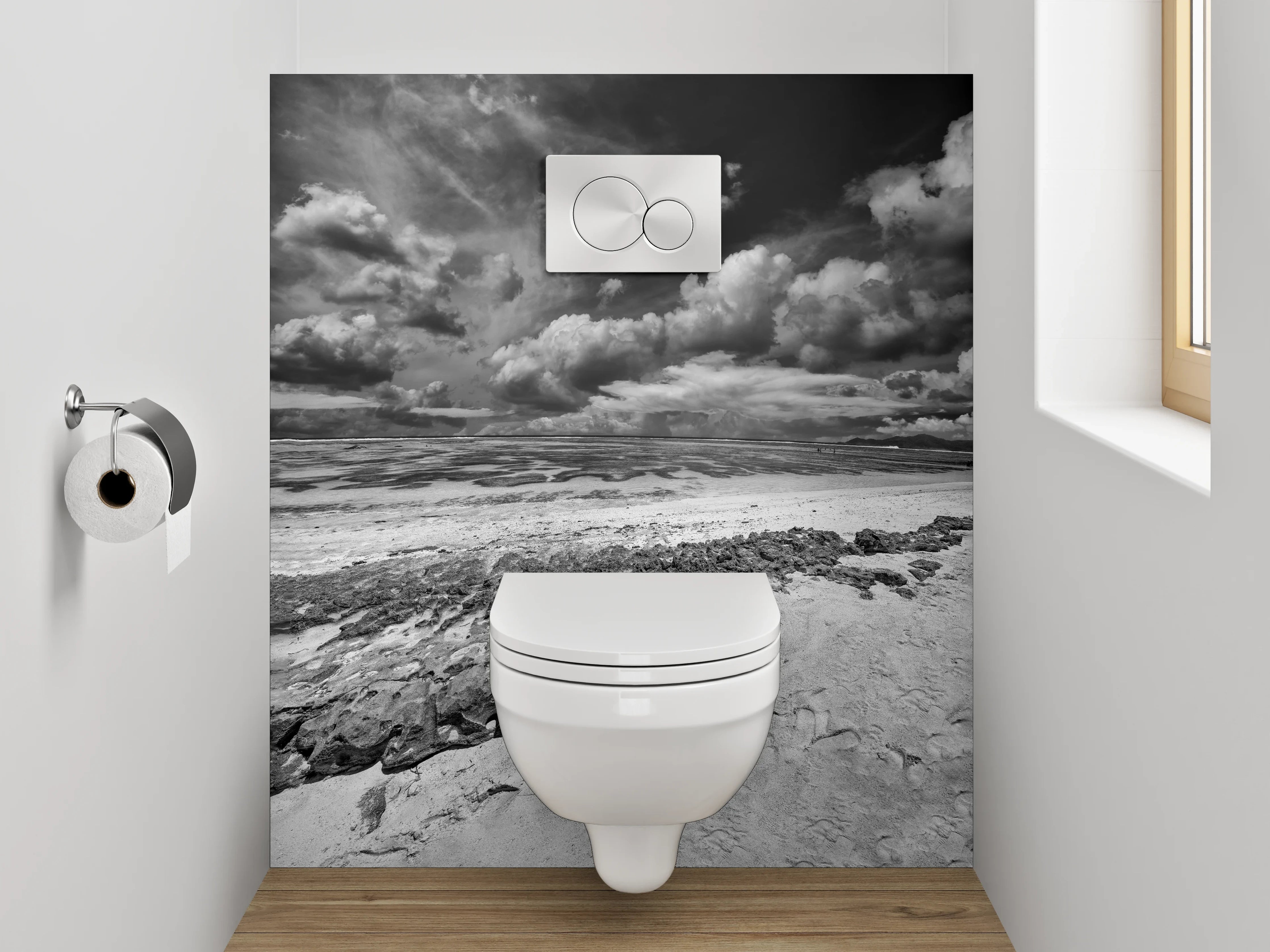 WC-Rückwand - Dramatische Schwarz-Weiß Küstenlandschaft