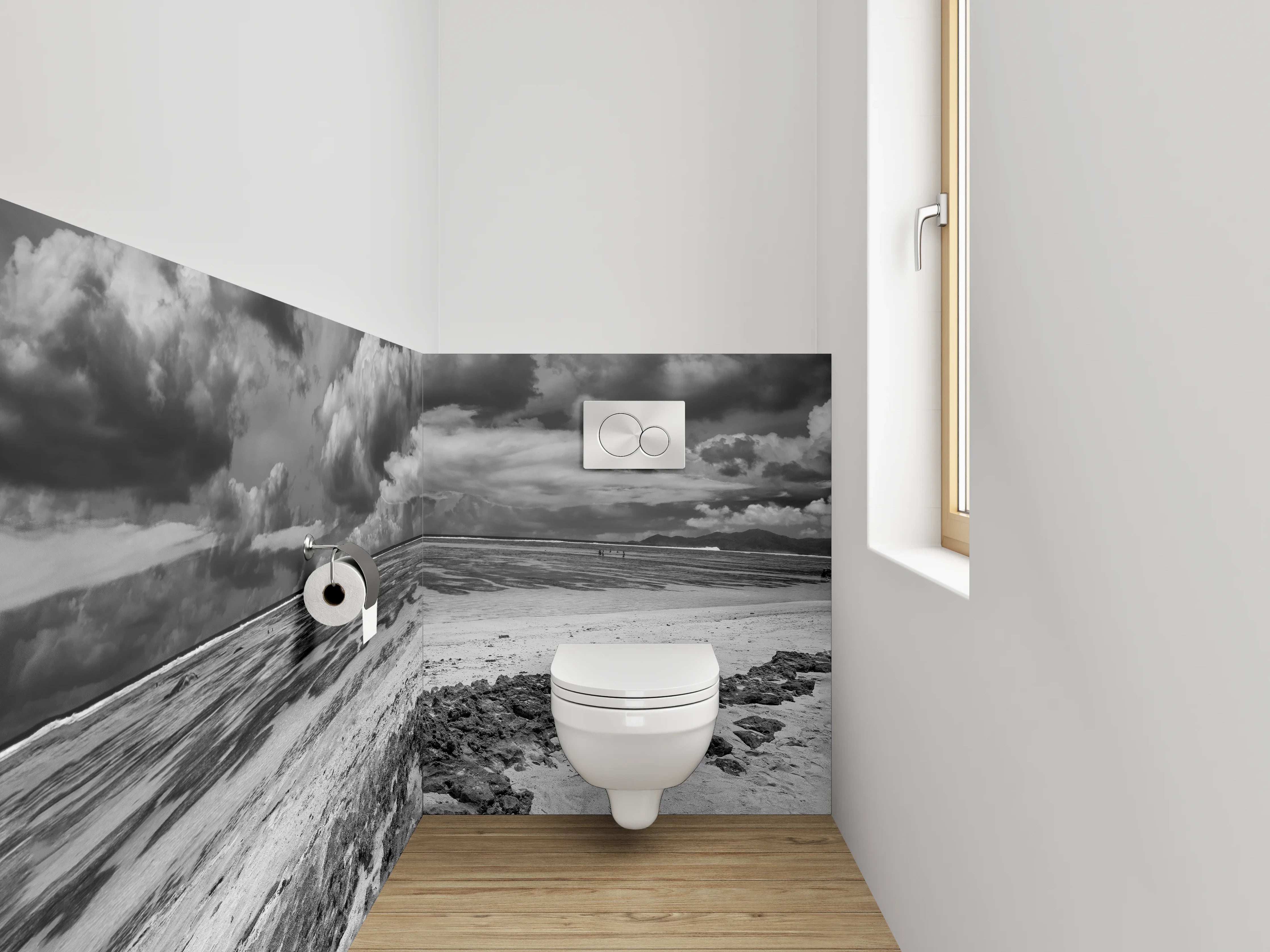WC-Rückwand - Dramatische Schwarz-Weiß Küstenlandschaft