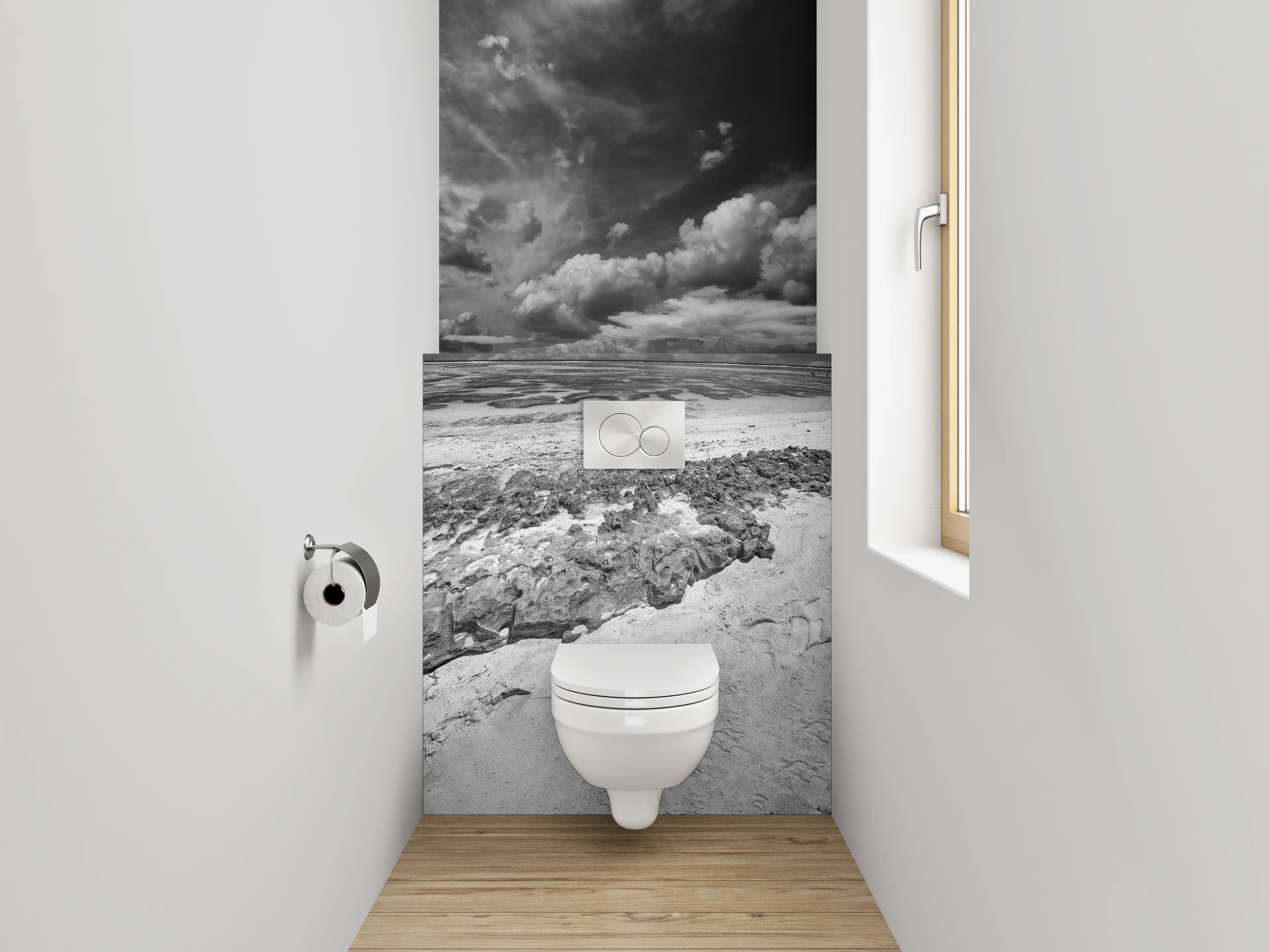 WC-Rückwand - Dramatische Schwarz-Weiß Küstenlandschaft