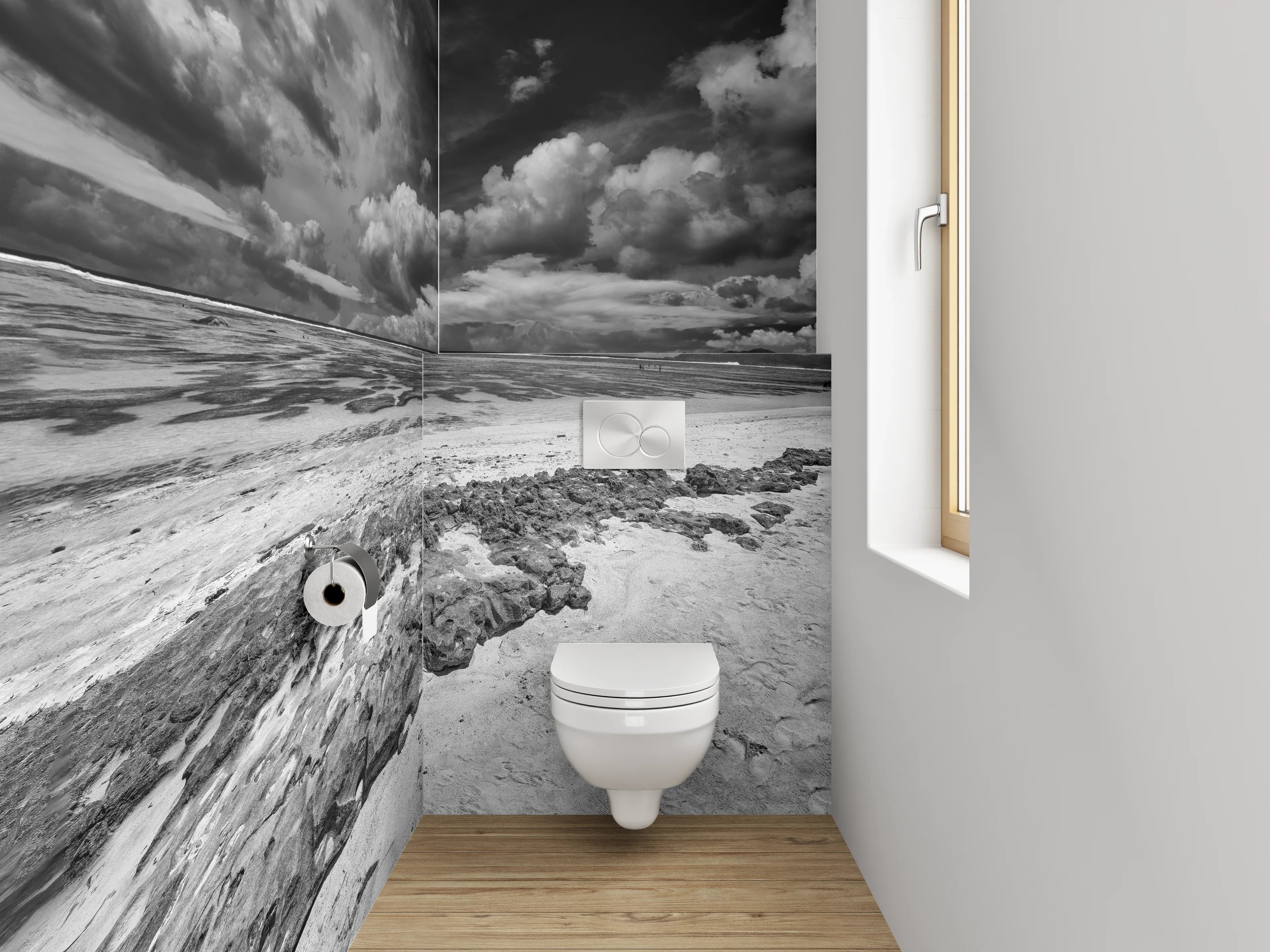 WC-Rückwand - Dramatische Schwarz-Weiß Küstenlandschaft