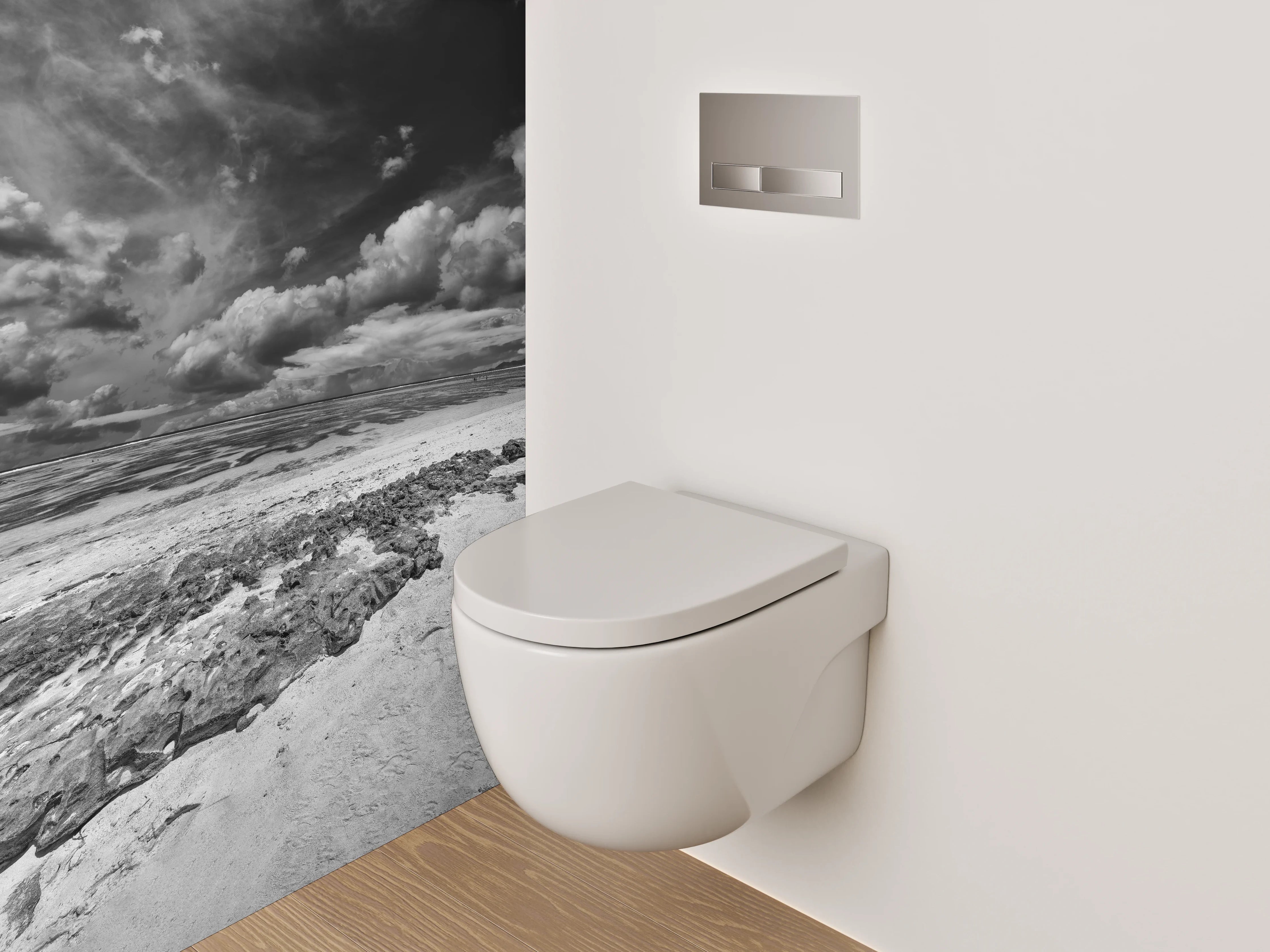 WC-Rückwand - Dramatische Schwarz-Weiß Küstenlandschaft