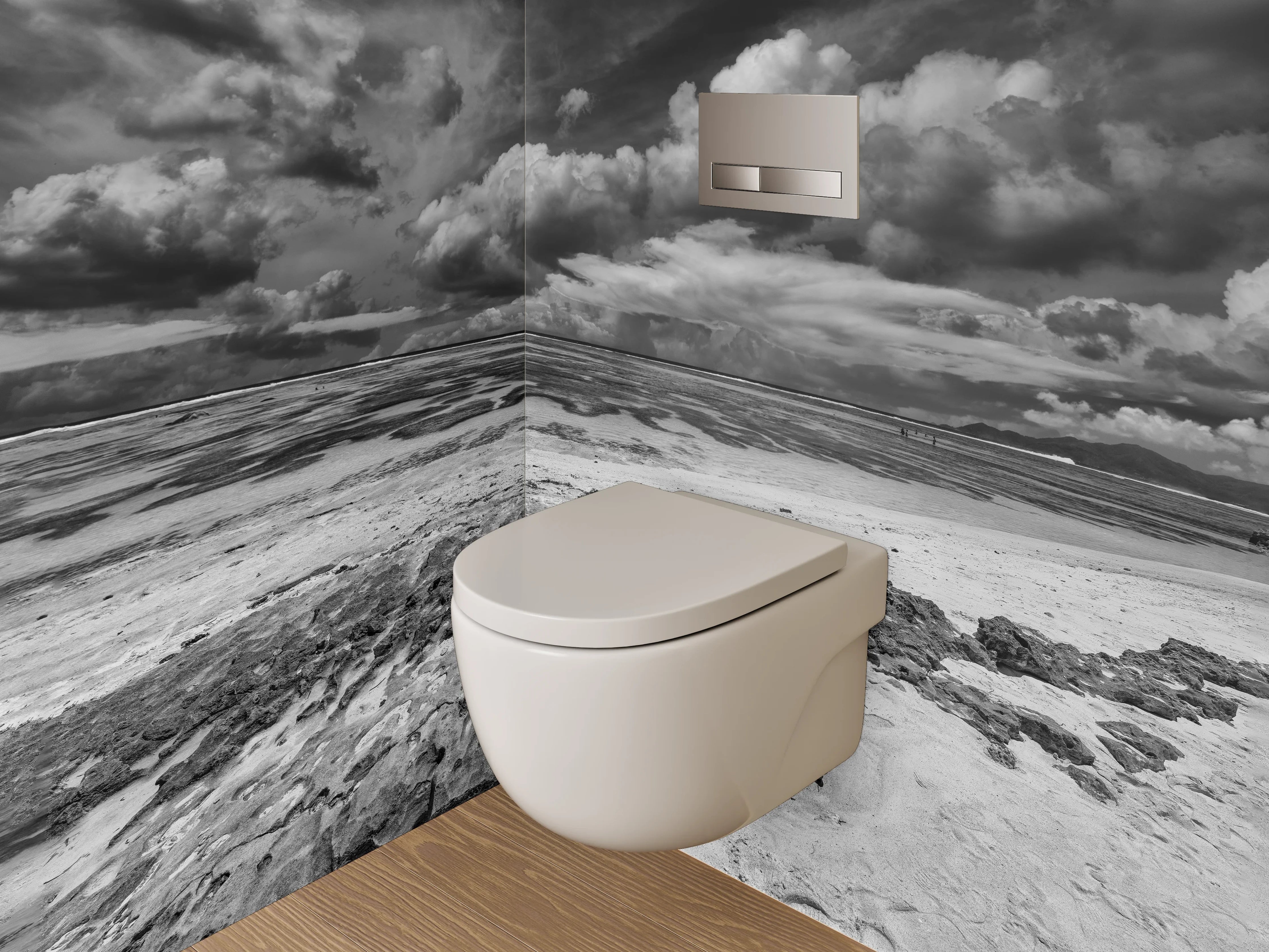 WC-Rückwand - Dramatische Schwarz-Weiß Küstenlandschaft