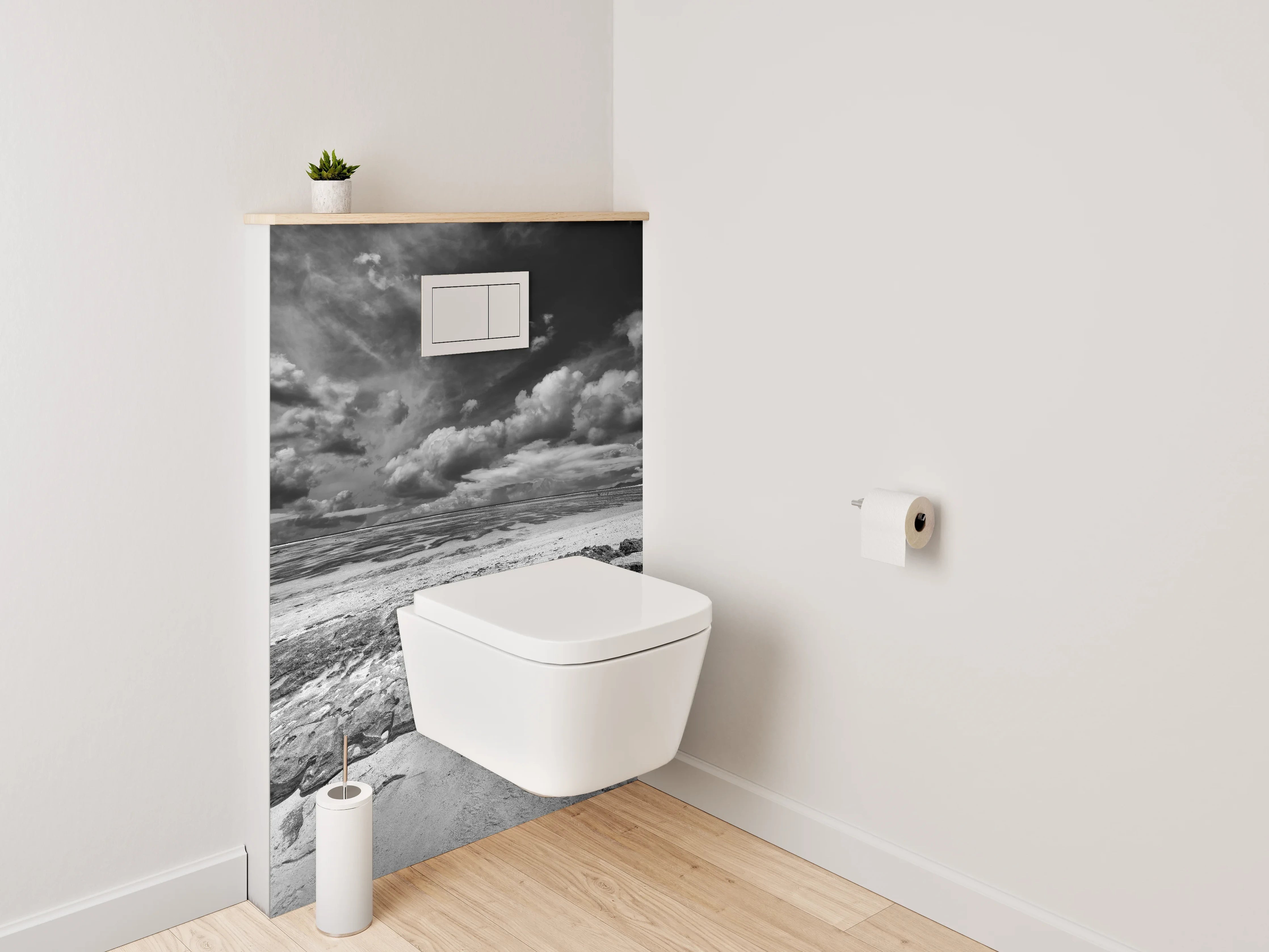 WC-Rückwand - Dramatische Schwarz-Weiß Küstenlandschaft