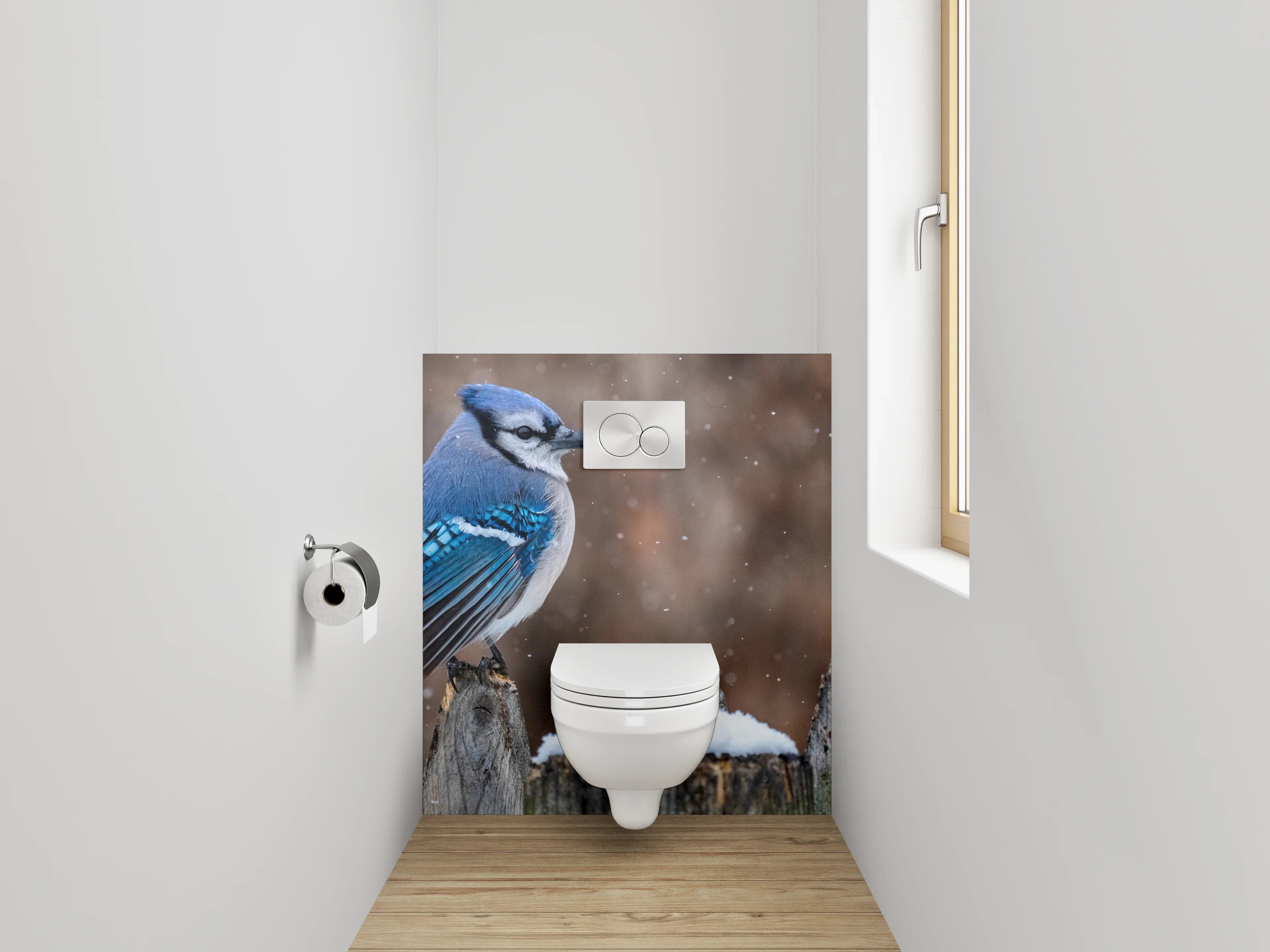 WC-Rückwand - Eichelhäher im Schnee – Wintervogel