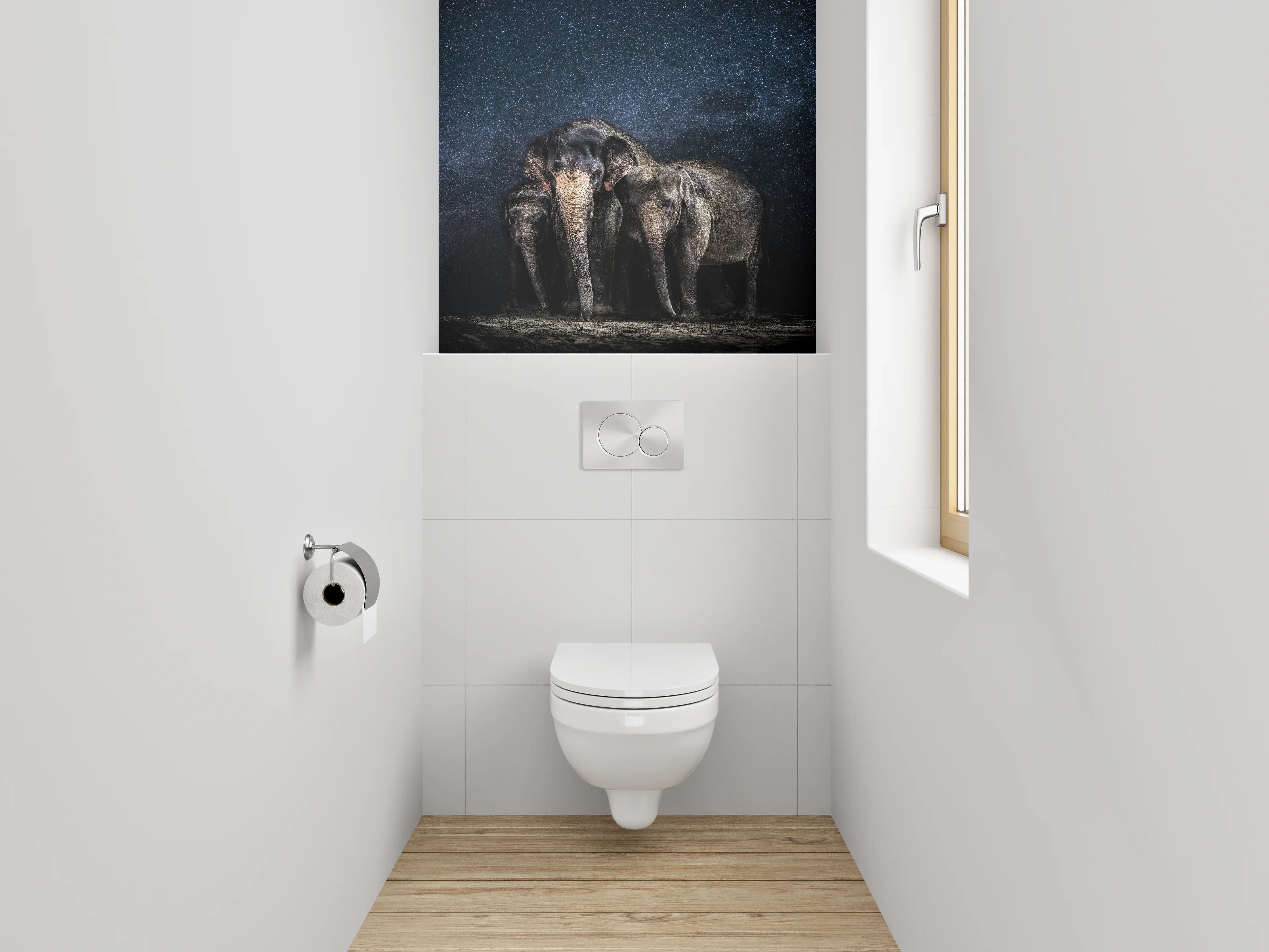 WC-Rückwand - Elefanten unter Sternenhimmel Fotomotiv
