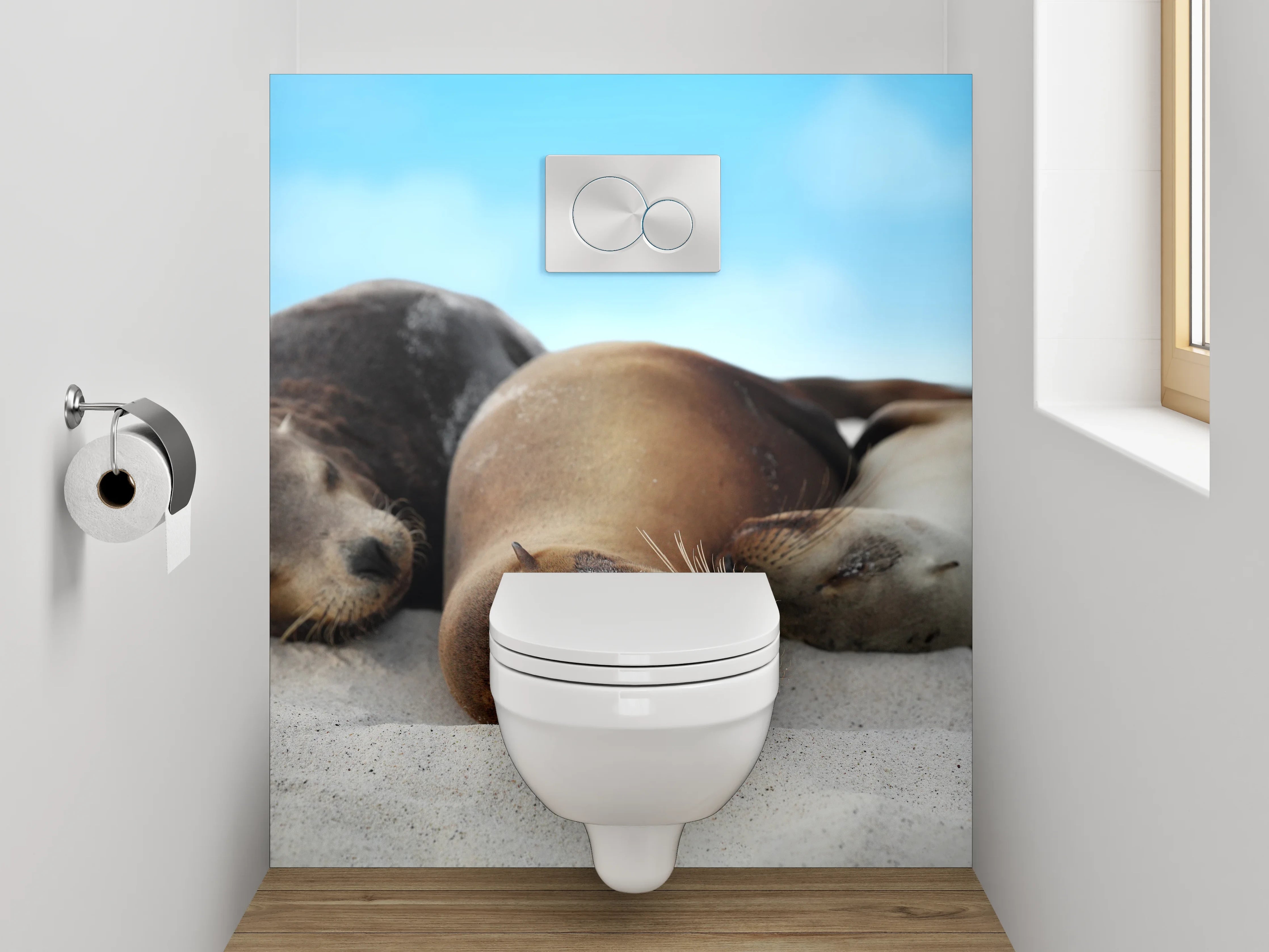 WC-Rückwand - Entspannte Seelöwen am Sandstrand