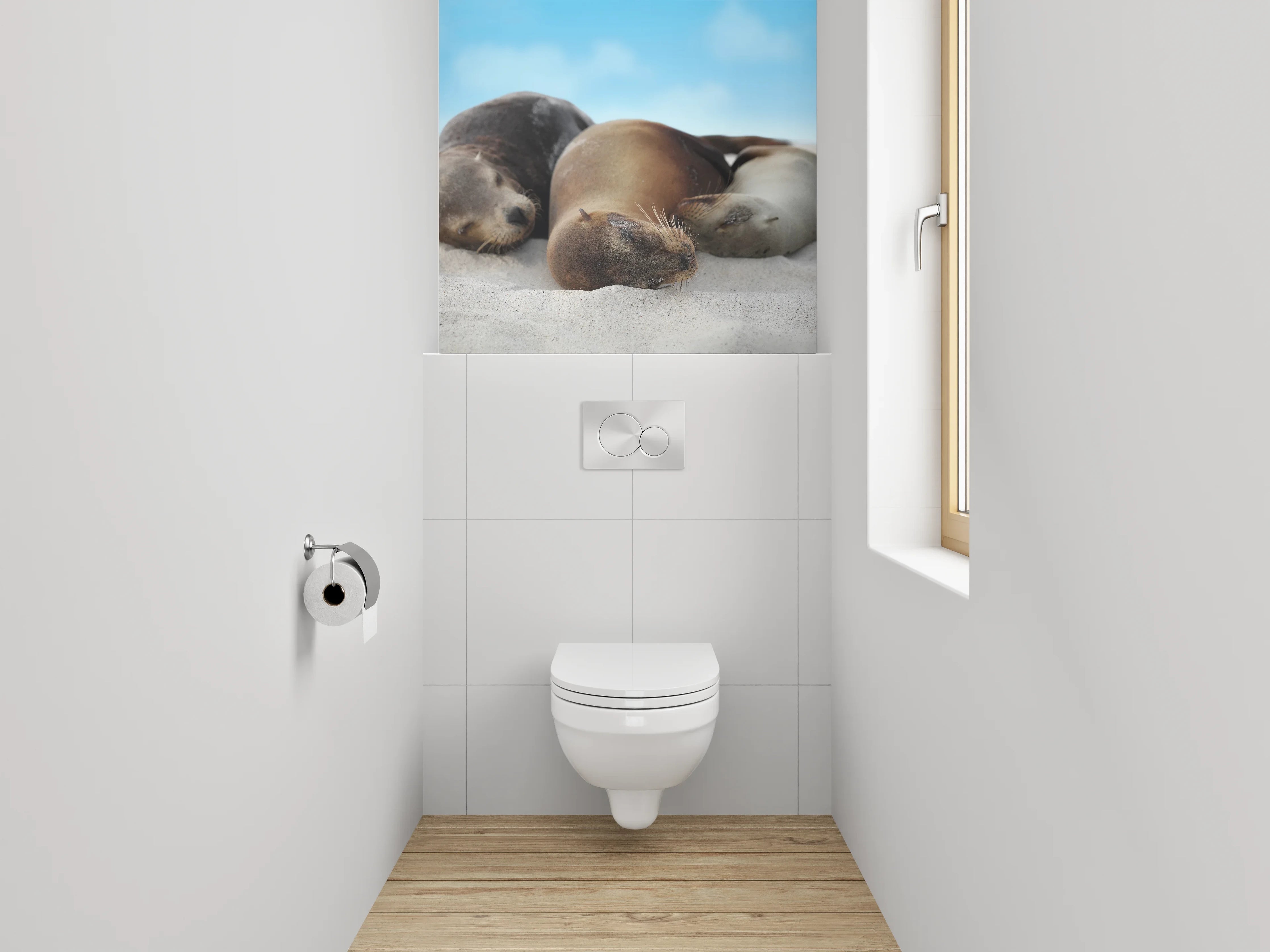 WC-Rückwand - Entspannte Seelöwen am Sandstrand