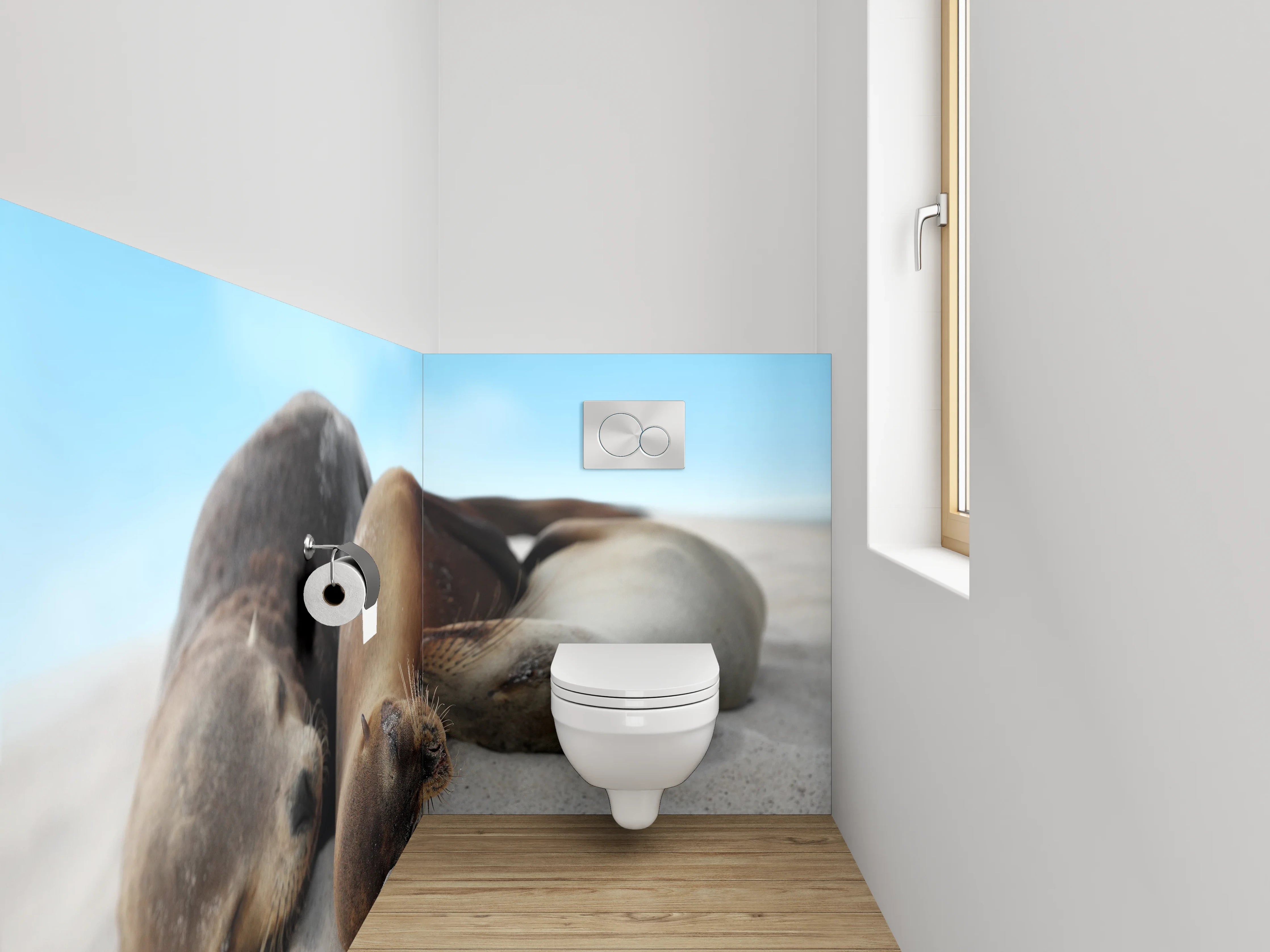 WC-Rückwand - Entspannte Seelöwen am Sandstrand