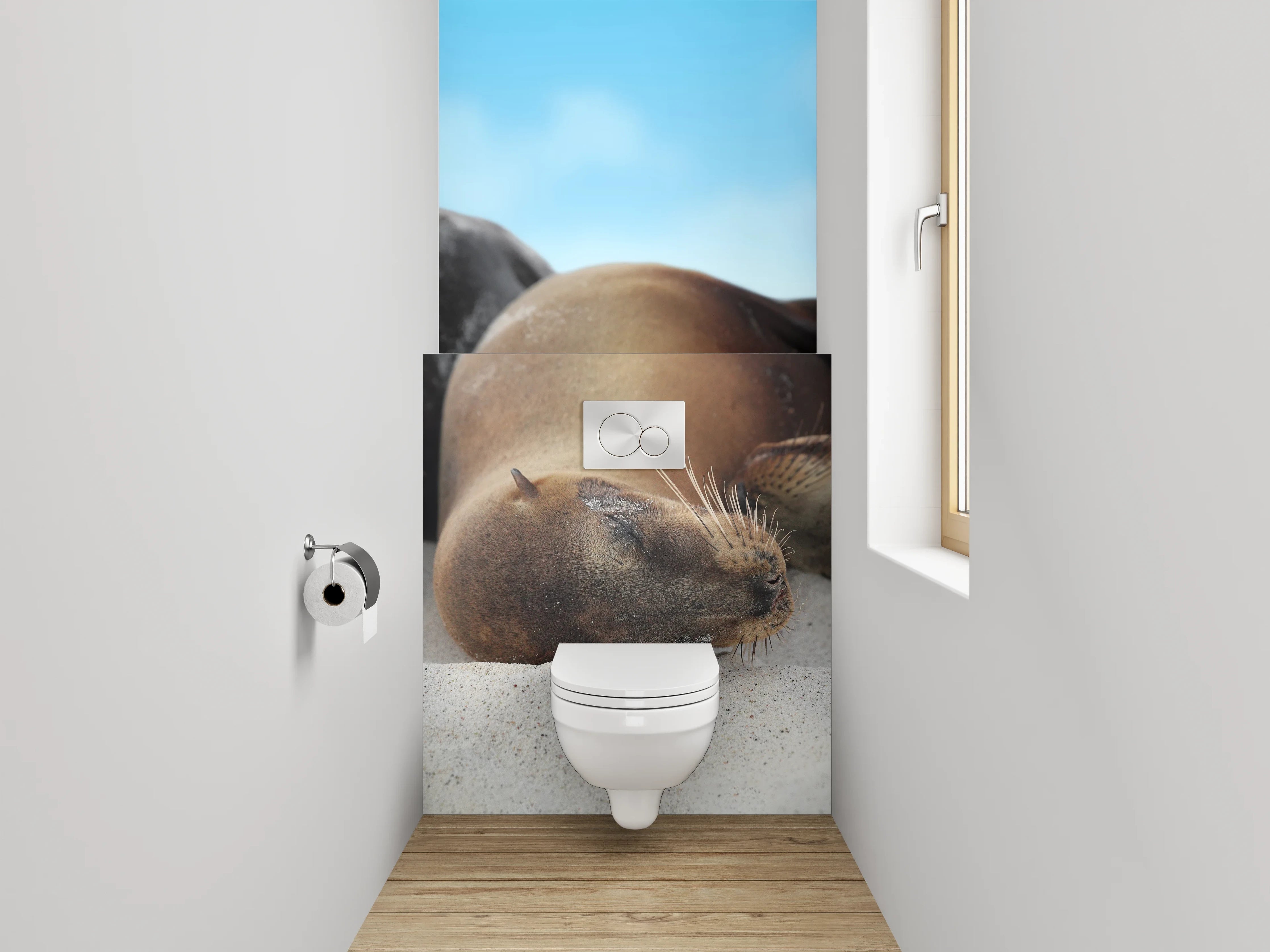 WC-Rückwand - Entspannte Seelöwen am Sandstrand
