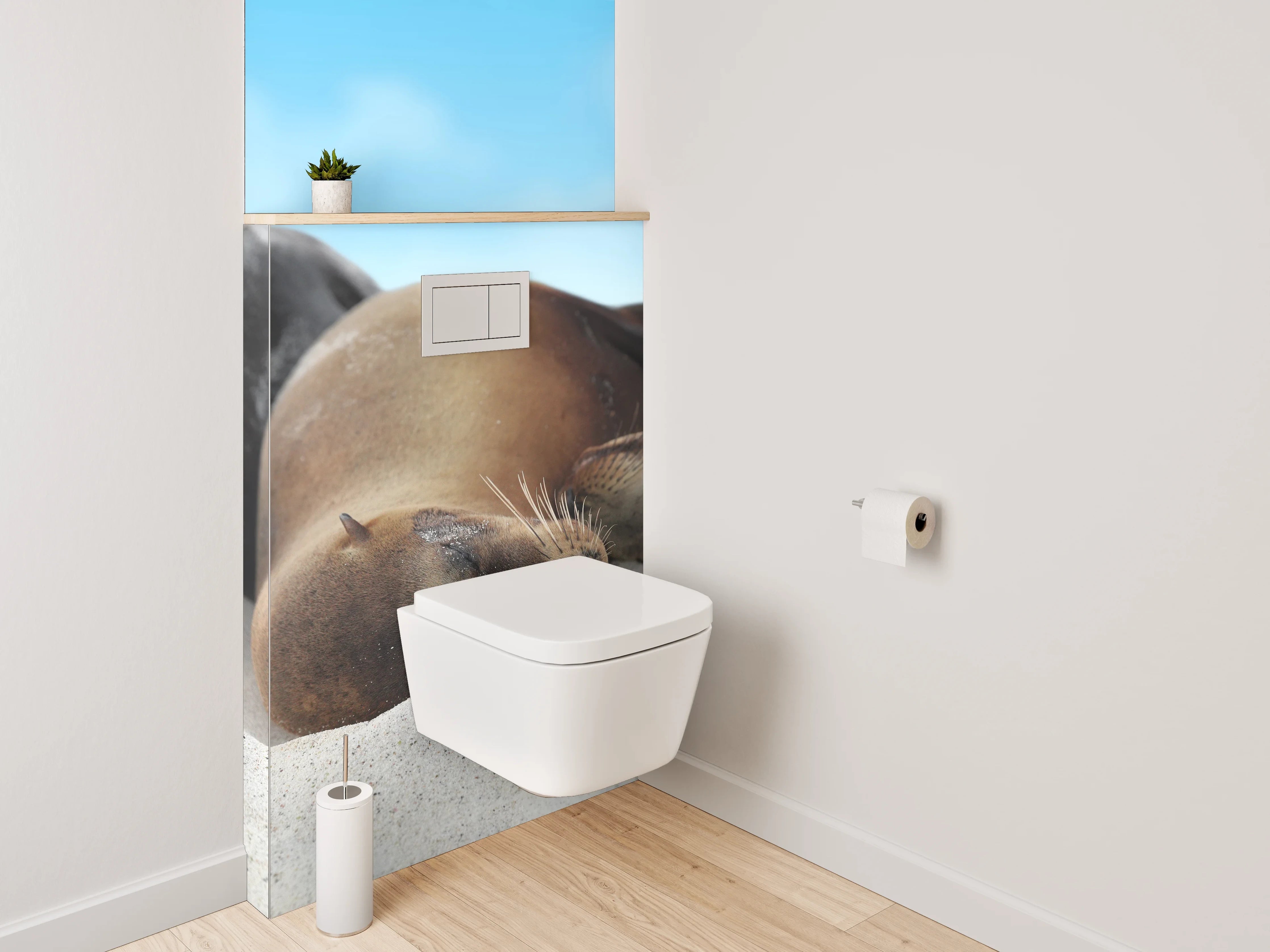 WC-Rückwand - Entspannte Seelöwen am Sandstrand