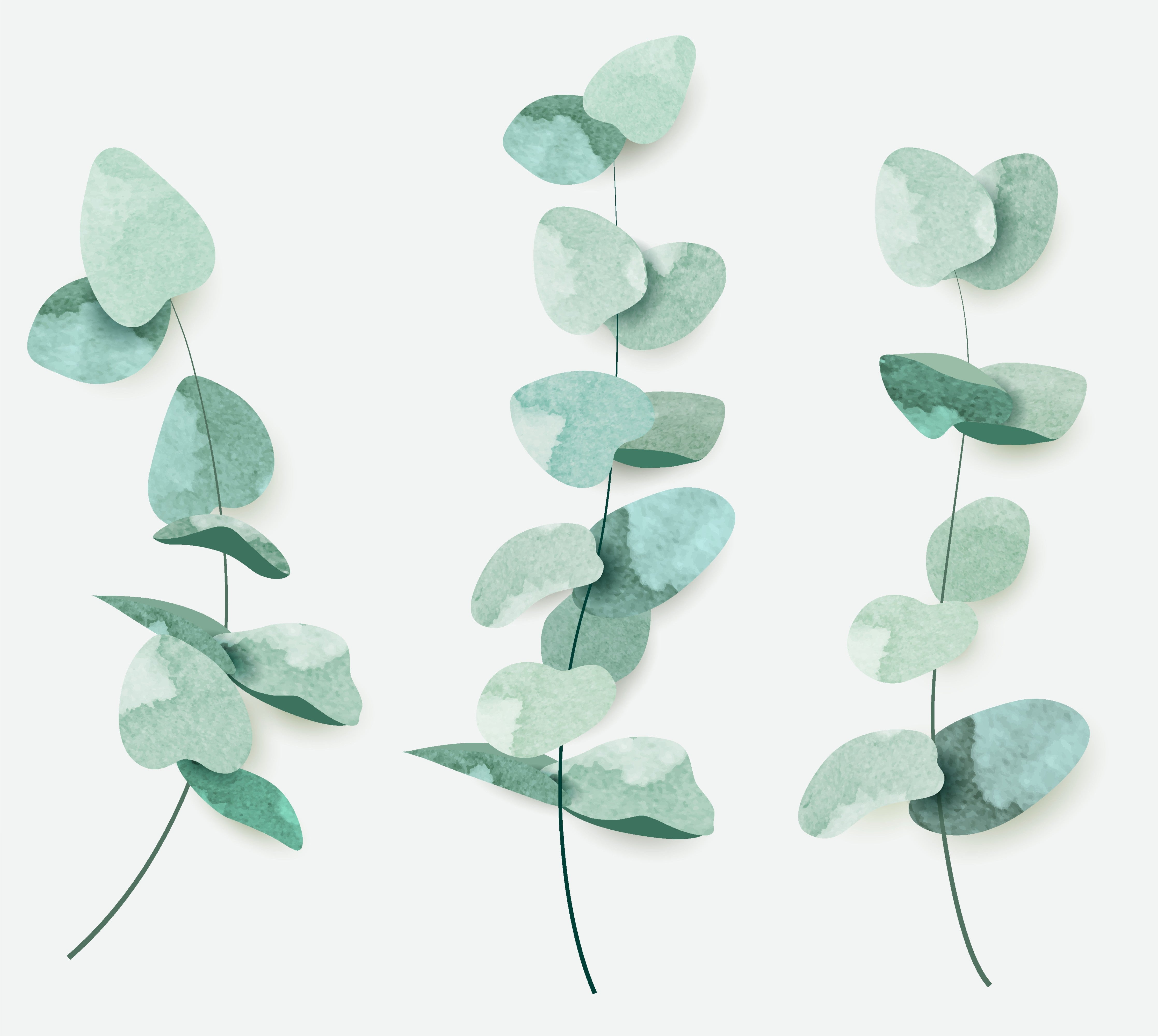 WC-Rückwand-Eukalyptus Aquarell Modern